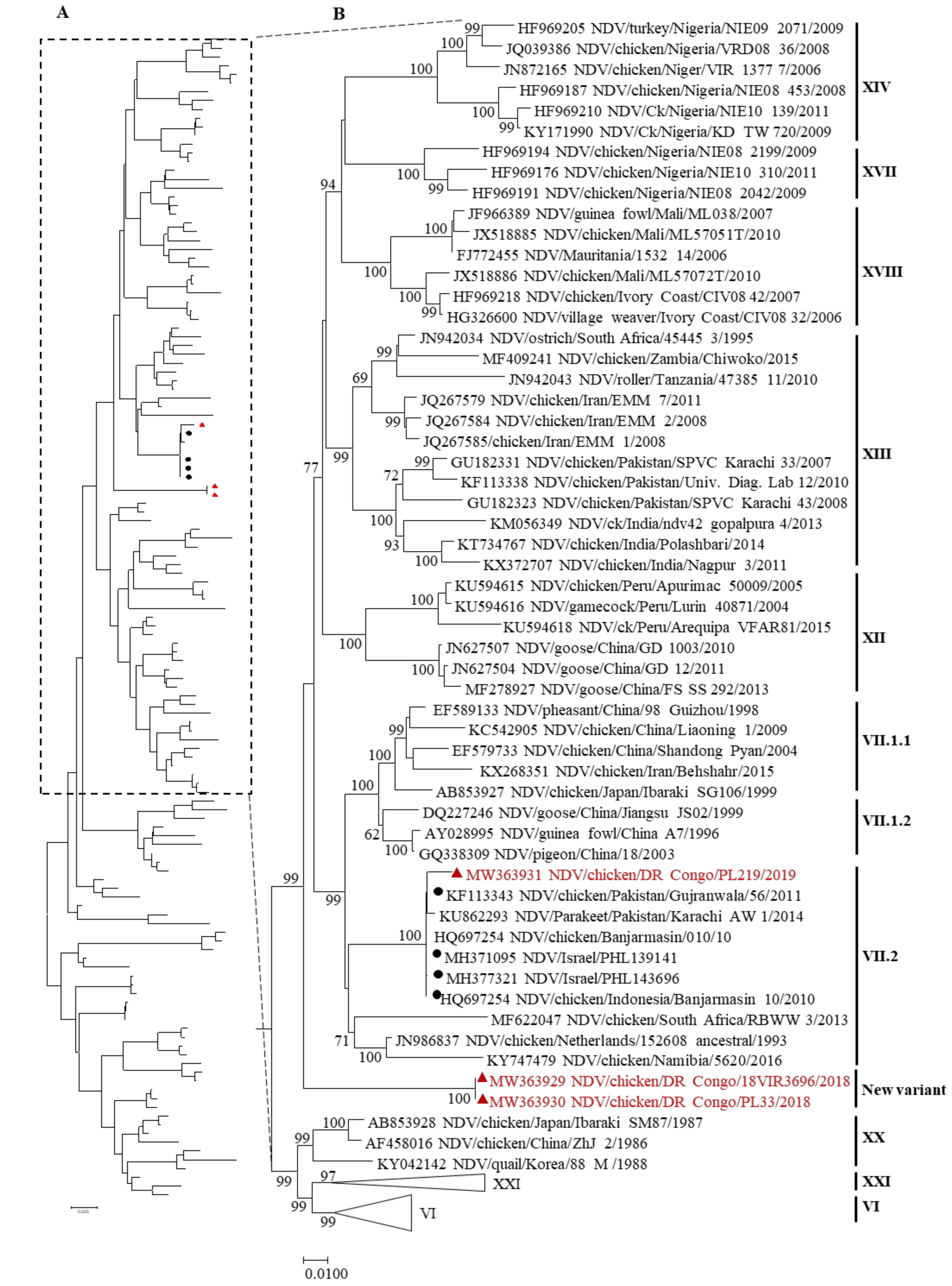 Viruses 13 00151 g001