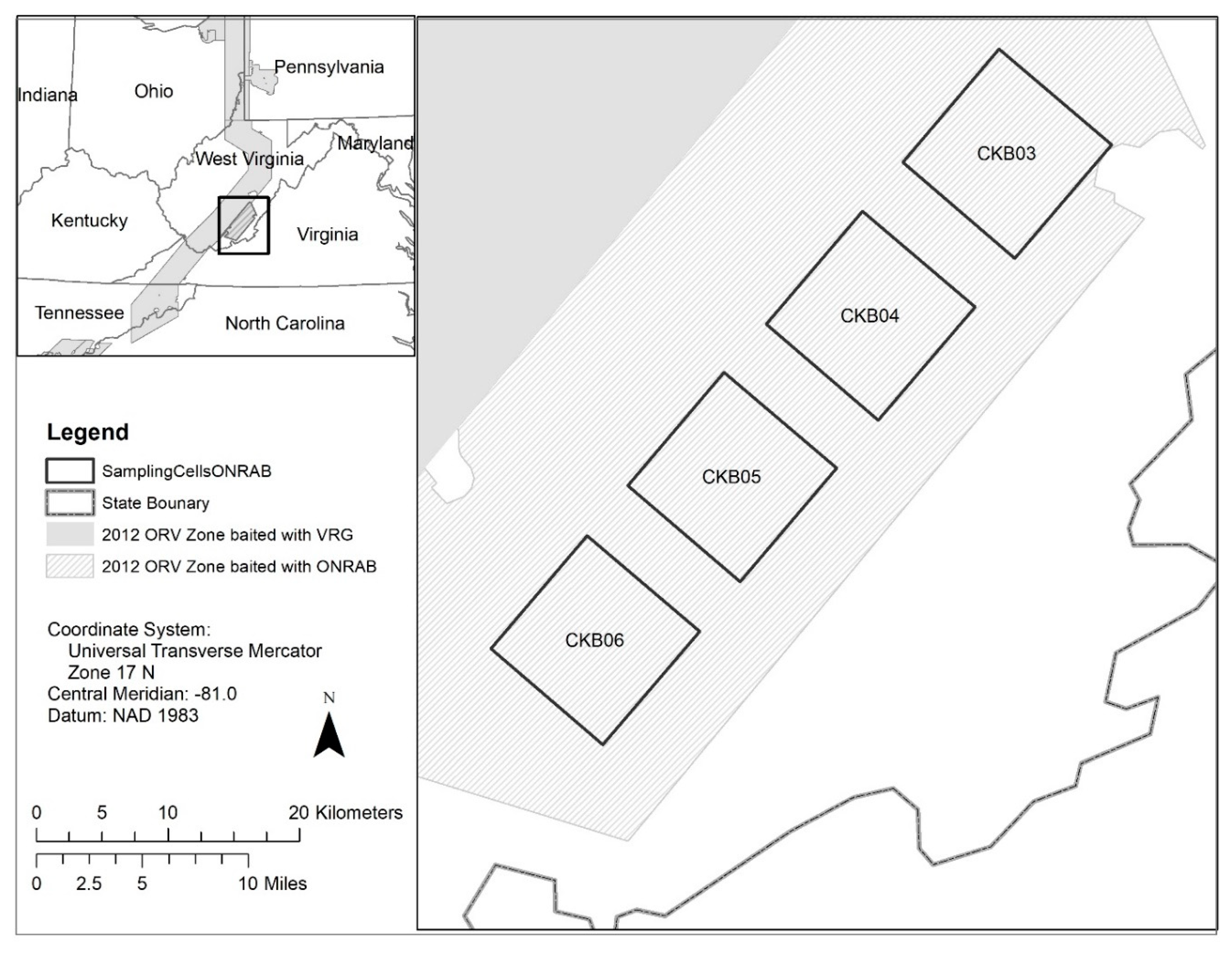 Viruses 13 00157 g001
