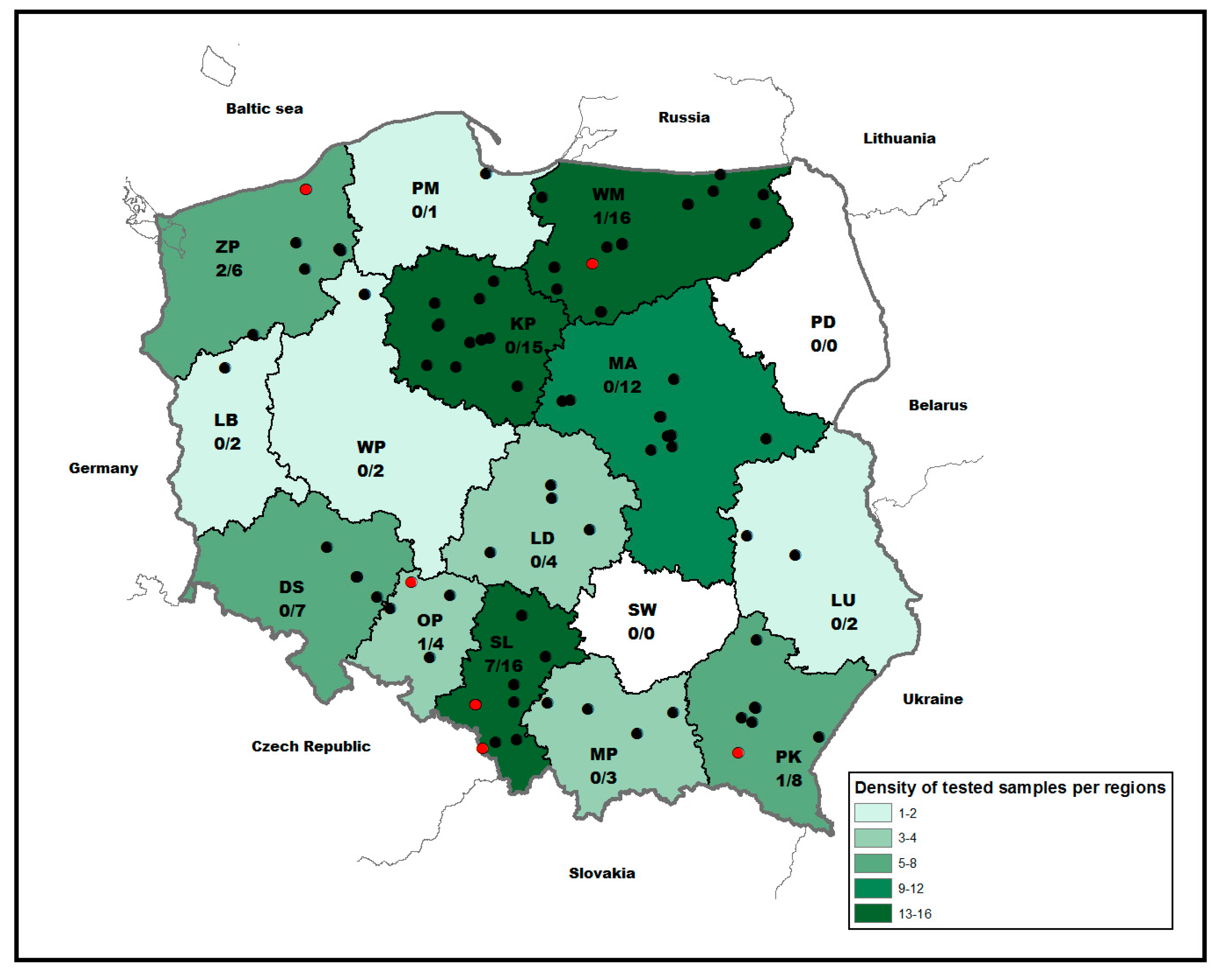 Viruses 13 00158 g001