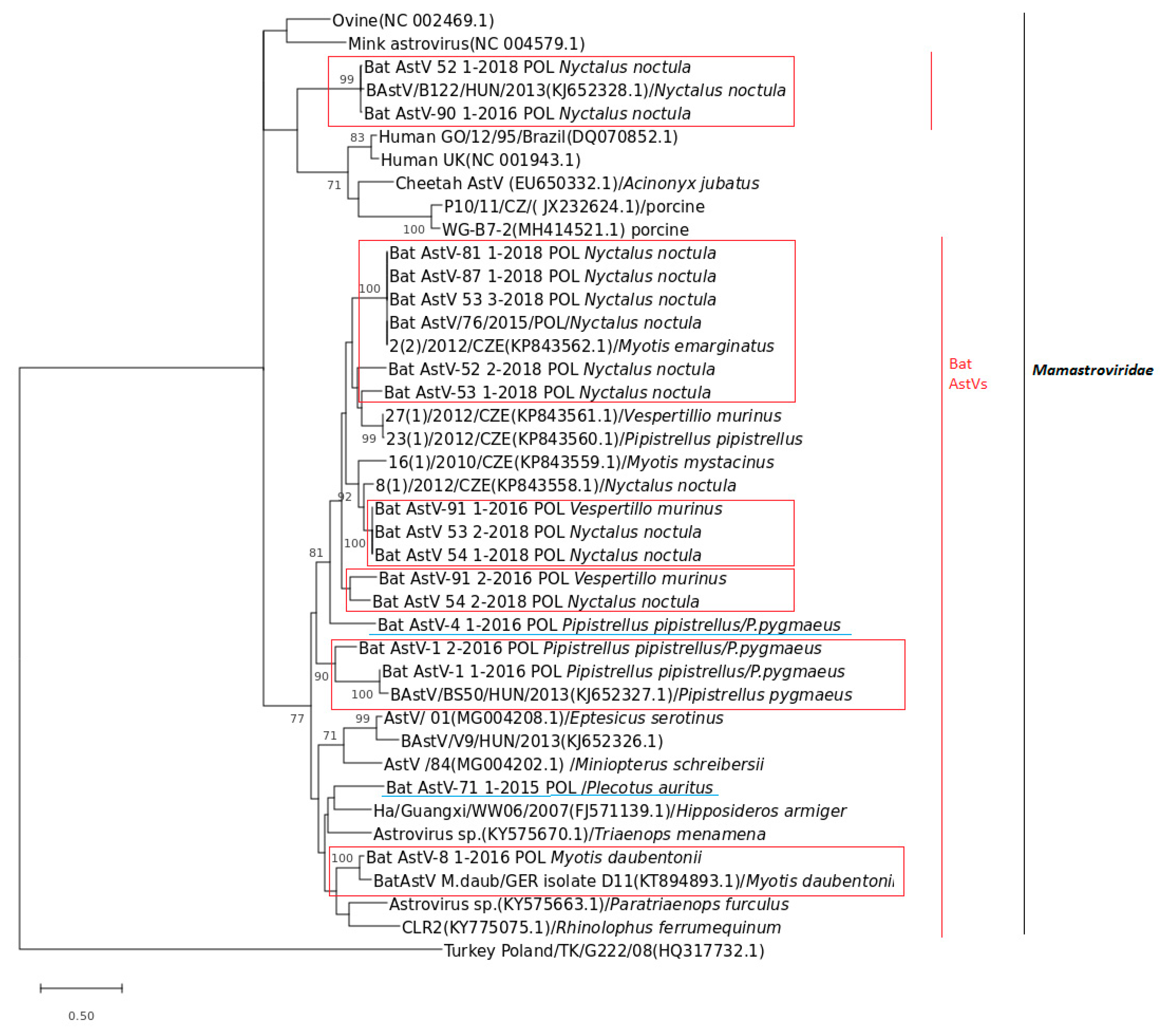 Viruses 13 00158 g002