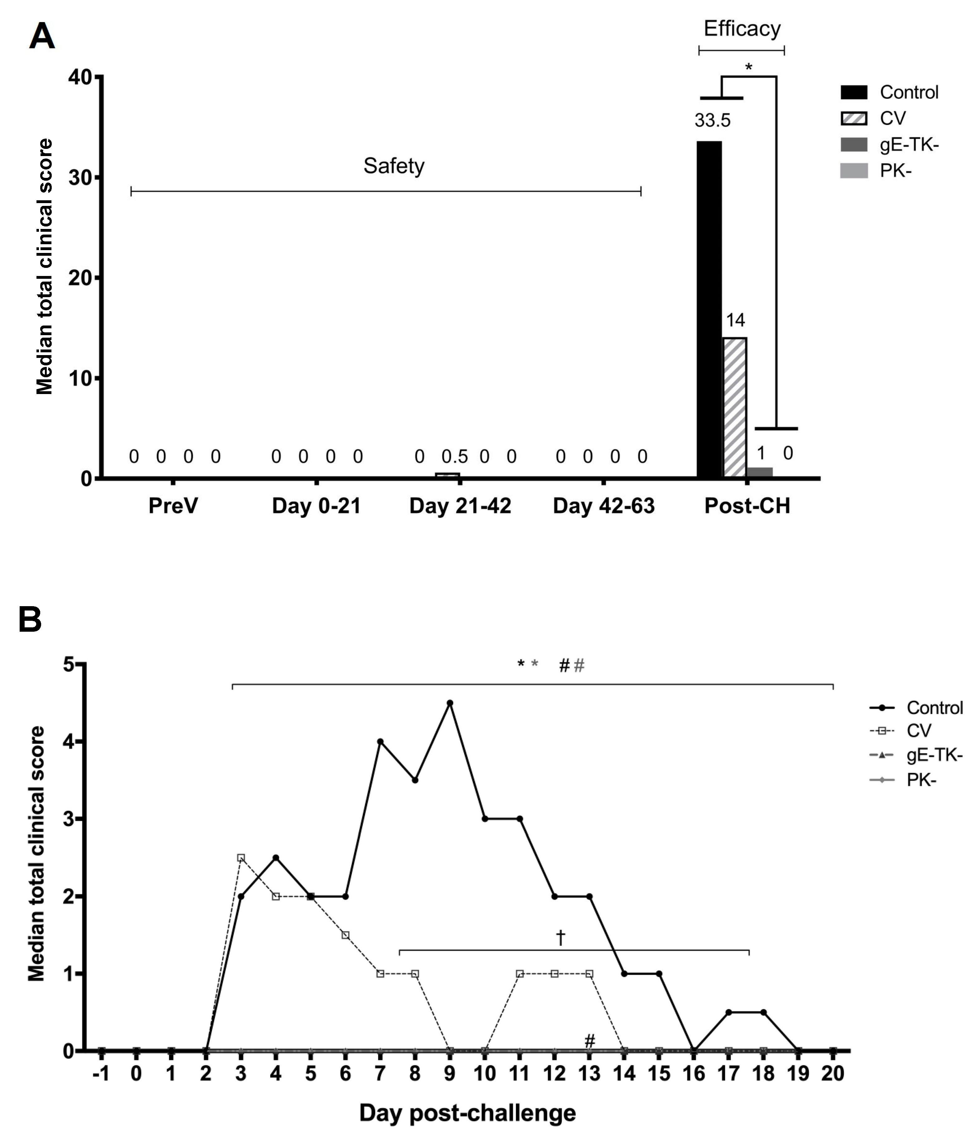 Viruses 13 00163 g001