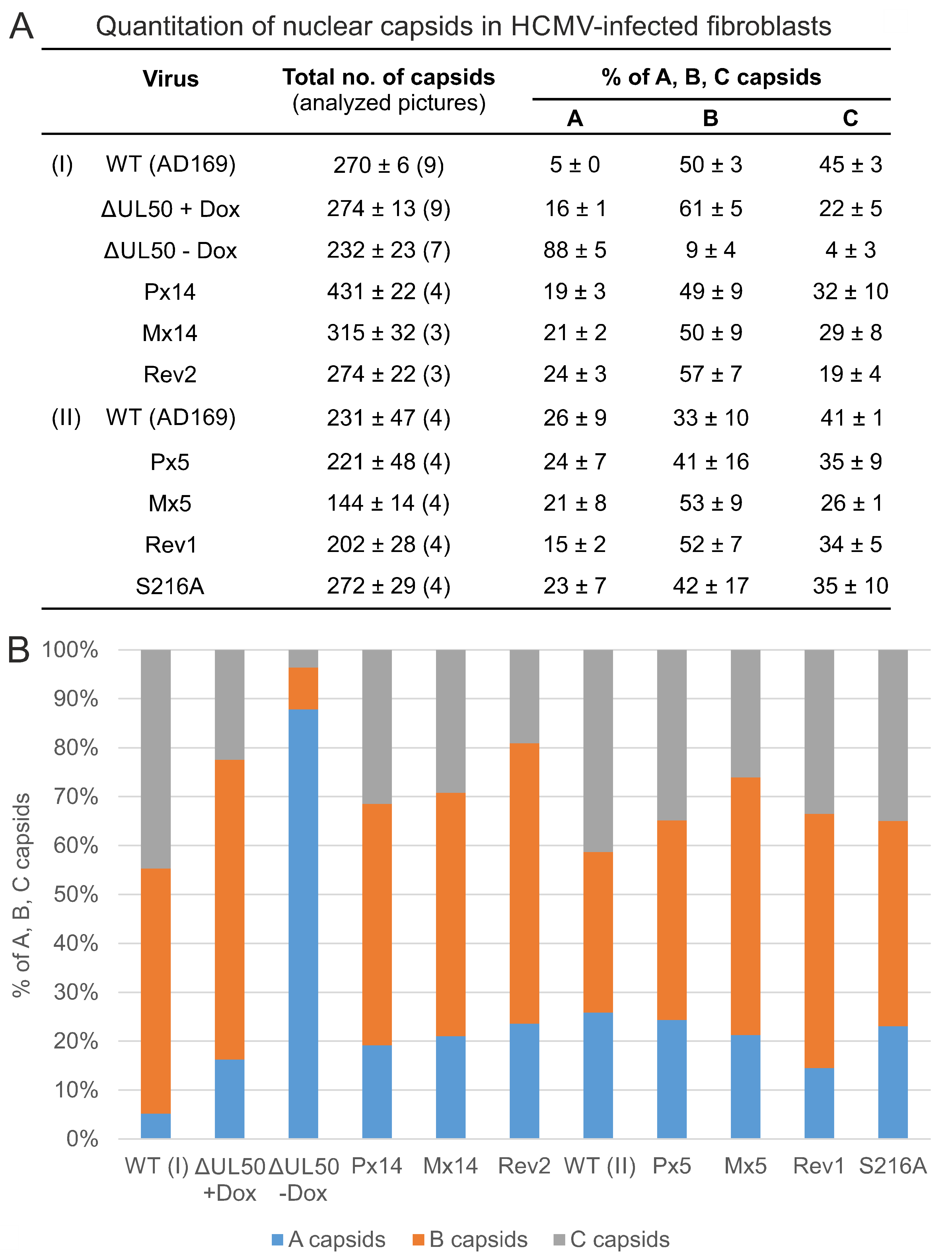 Viruses 13 00165 g008 Viruses 13 00165 g008