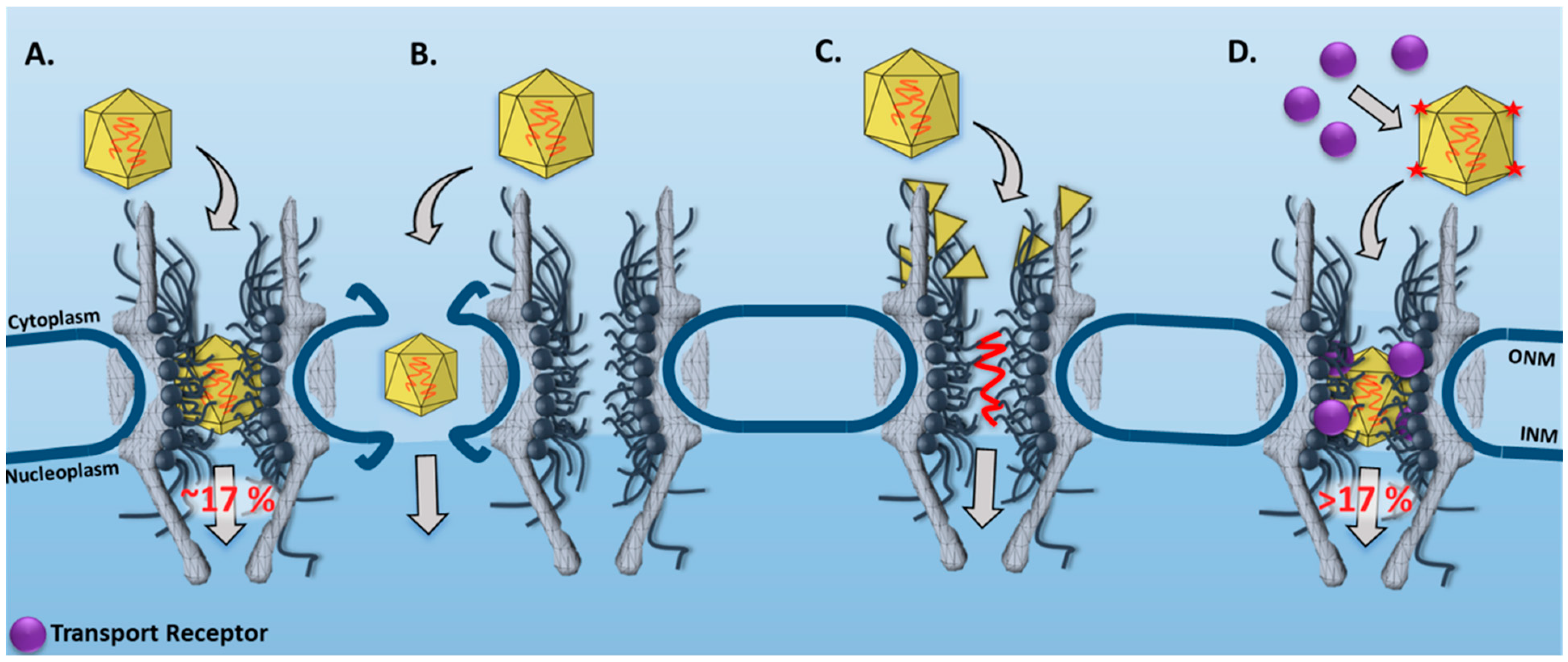 Viruses 13 00167 g003 Viruses 13 00167 g003