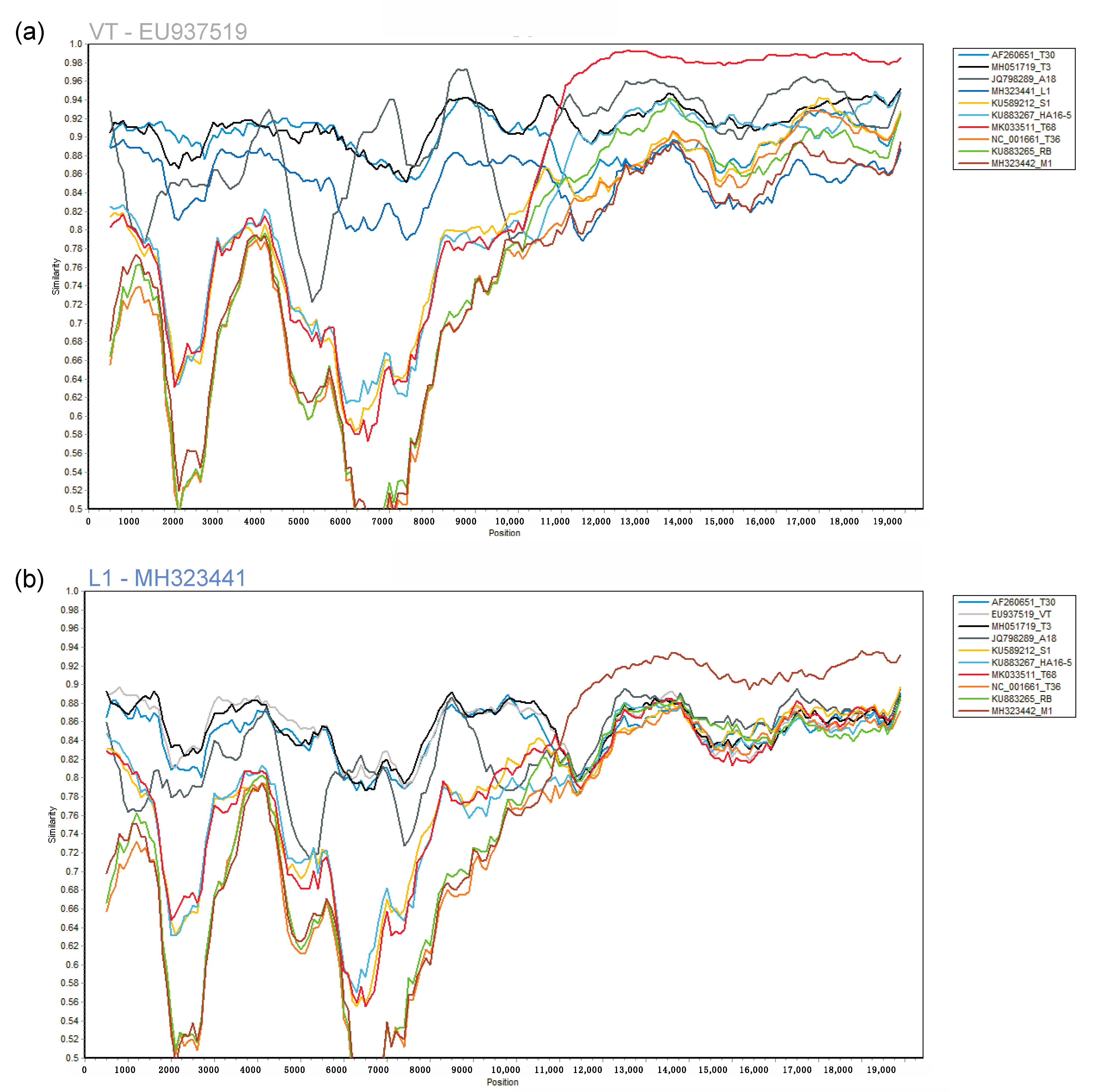 Viruses 13 00168 g002