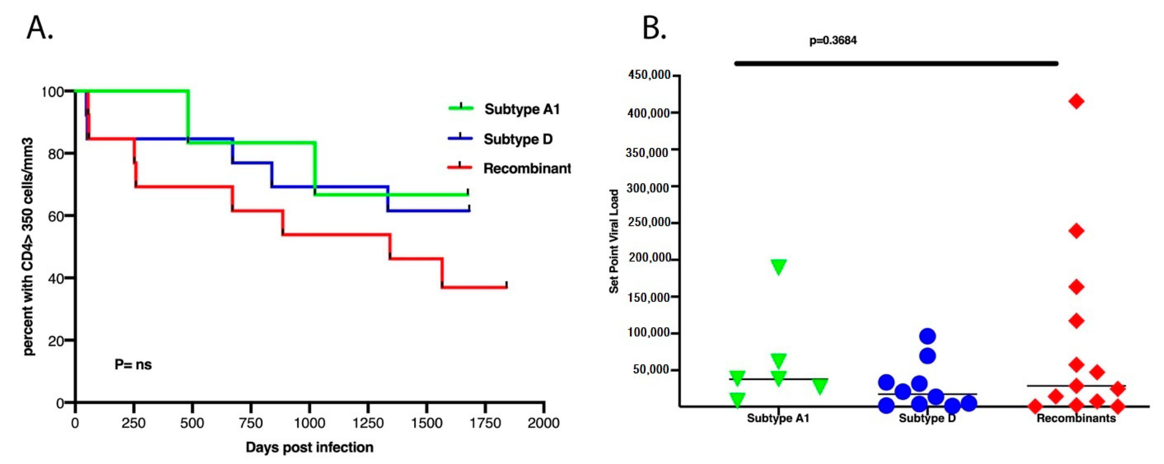 Viruses 13 00171 g003