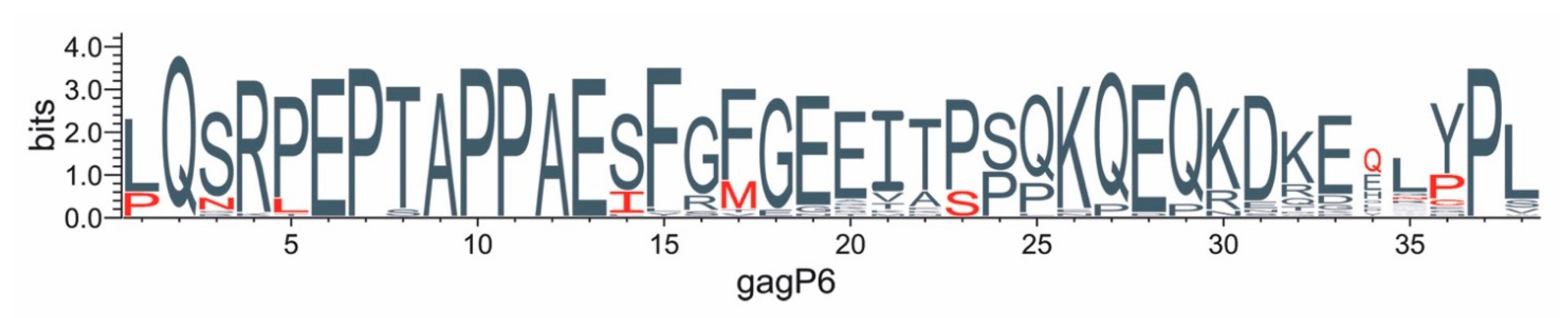 Viruses 13 00171 g006