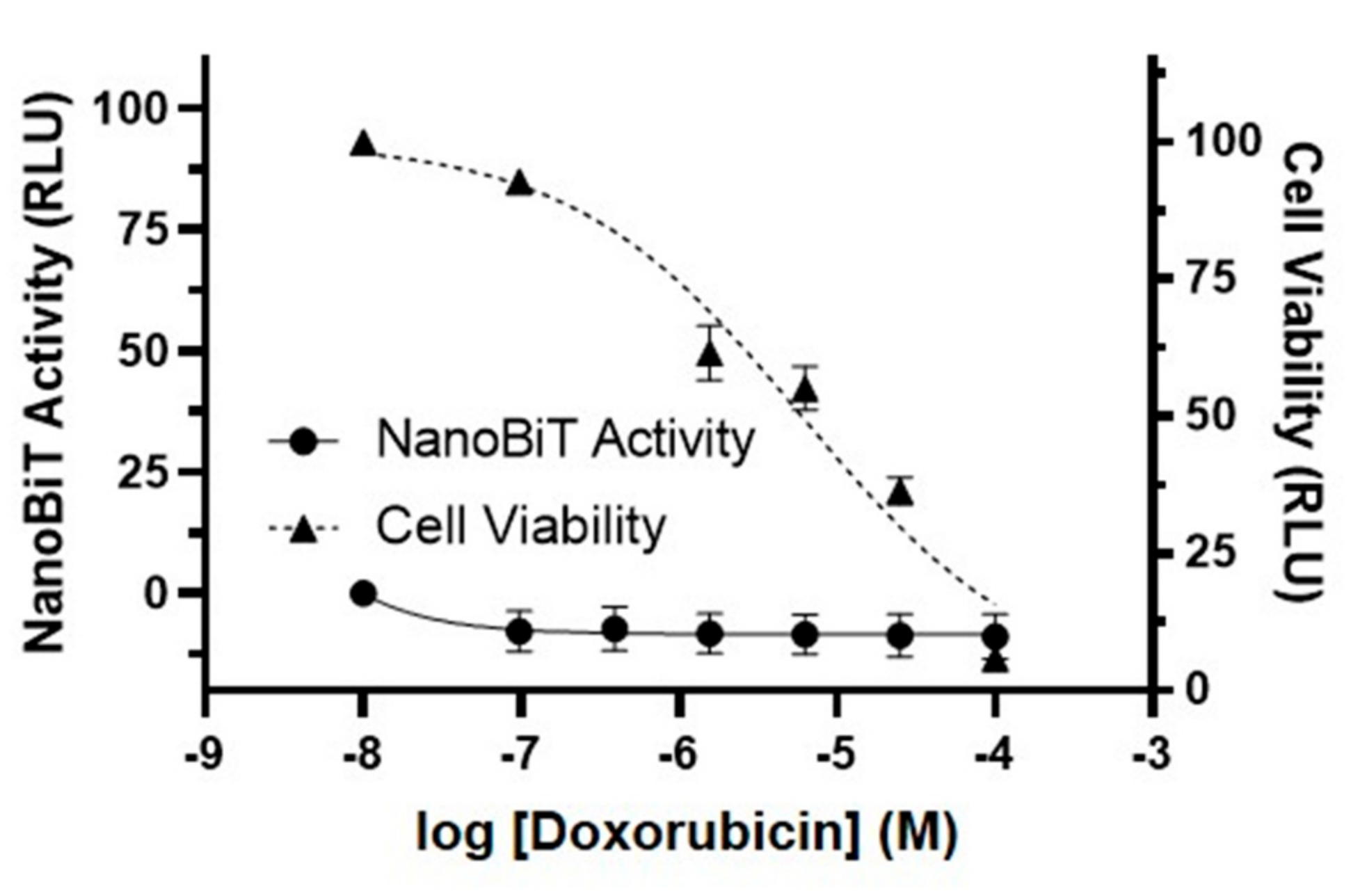 Viruses 13 00173 g003