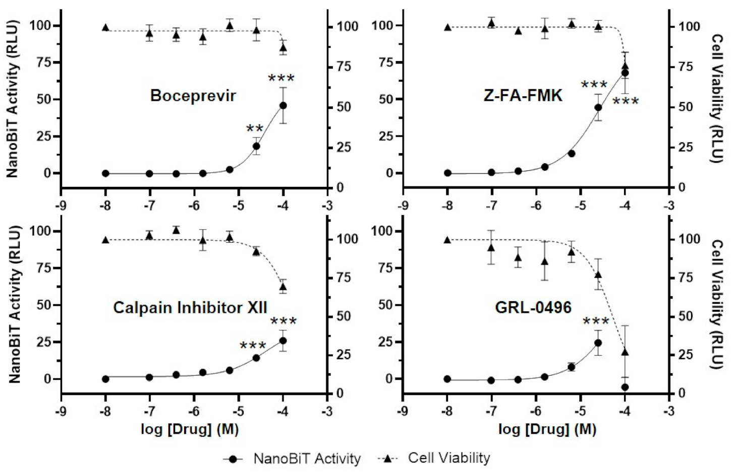 Viruses 13 00173 g005