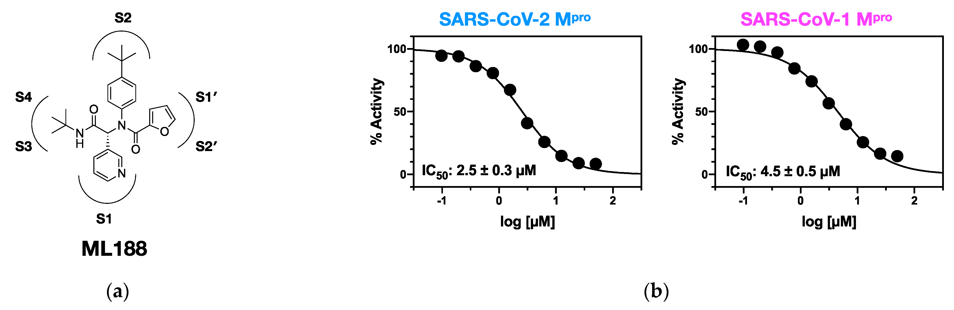 Viruses 13 00174 g001