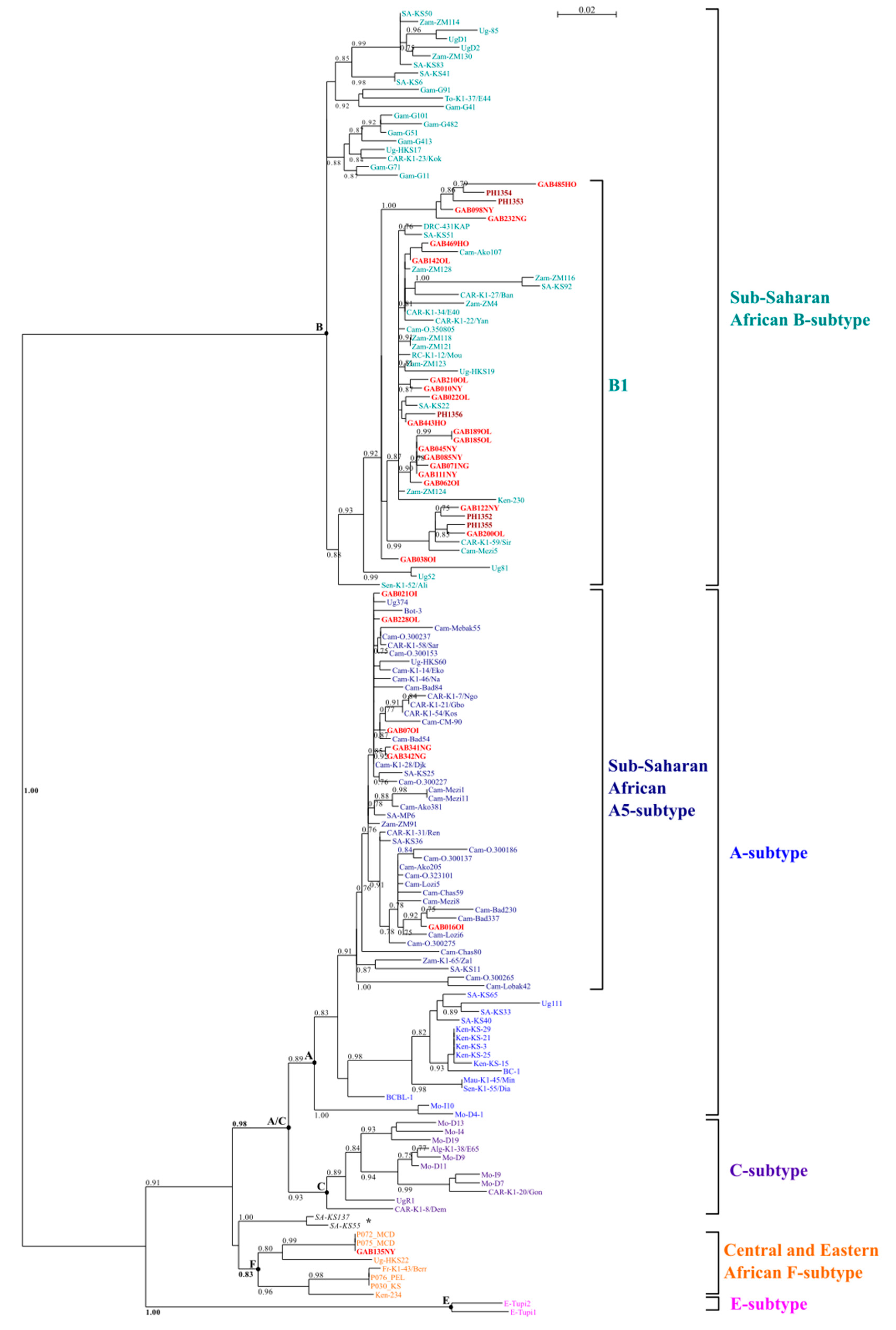 Viruses 13 00175 g002