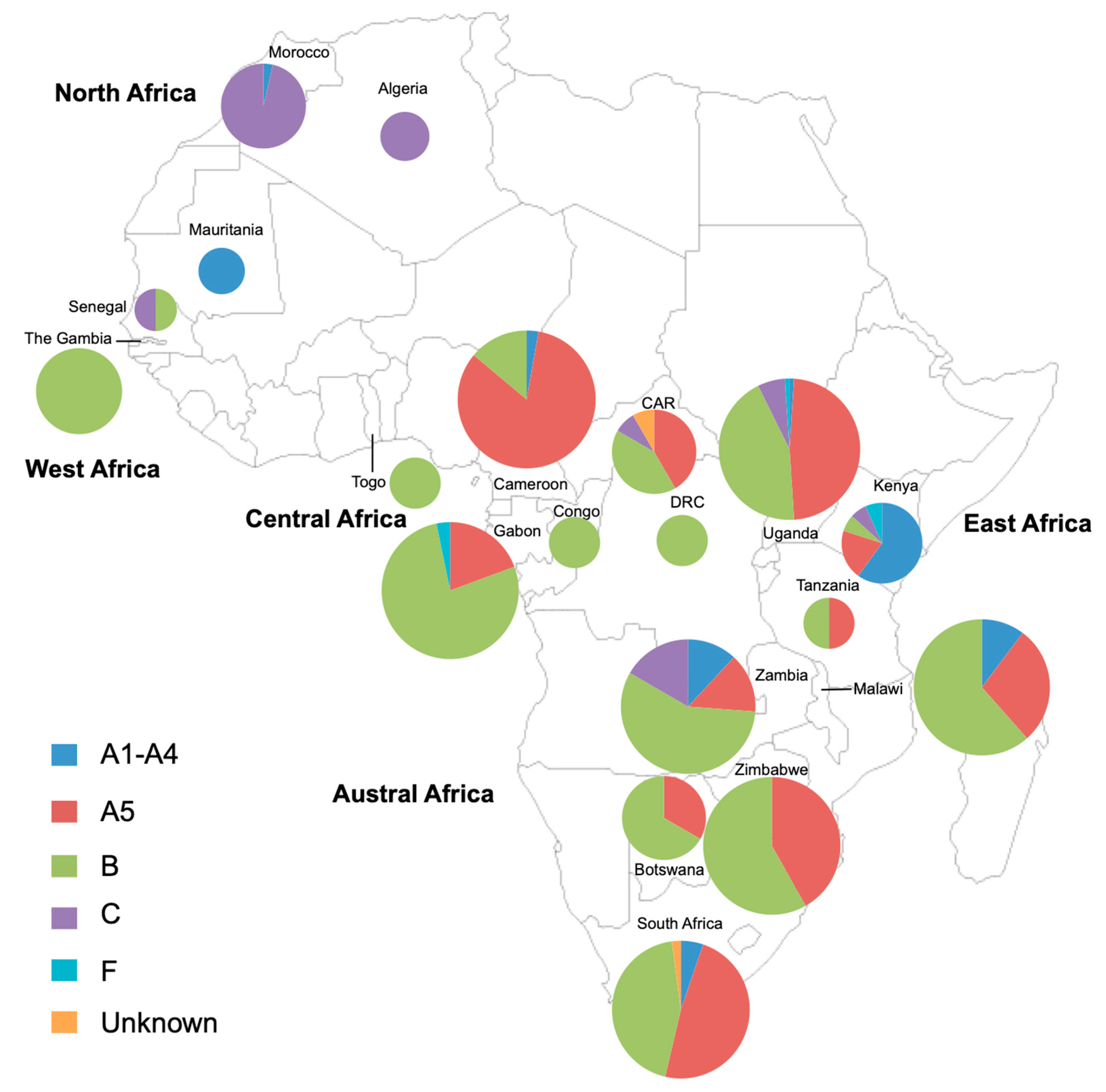 Viruses 13 00175 g003