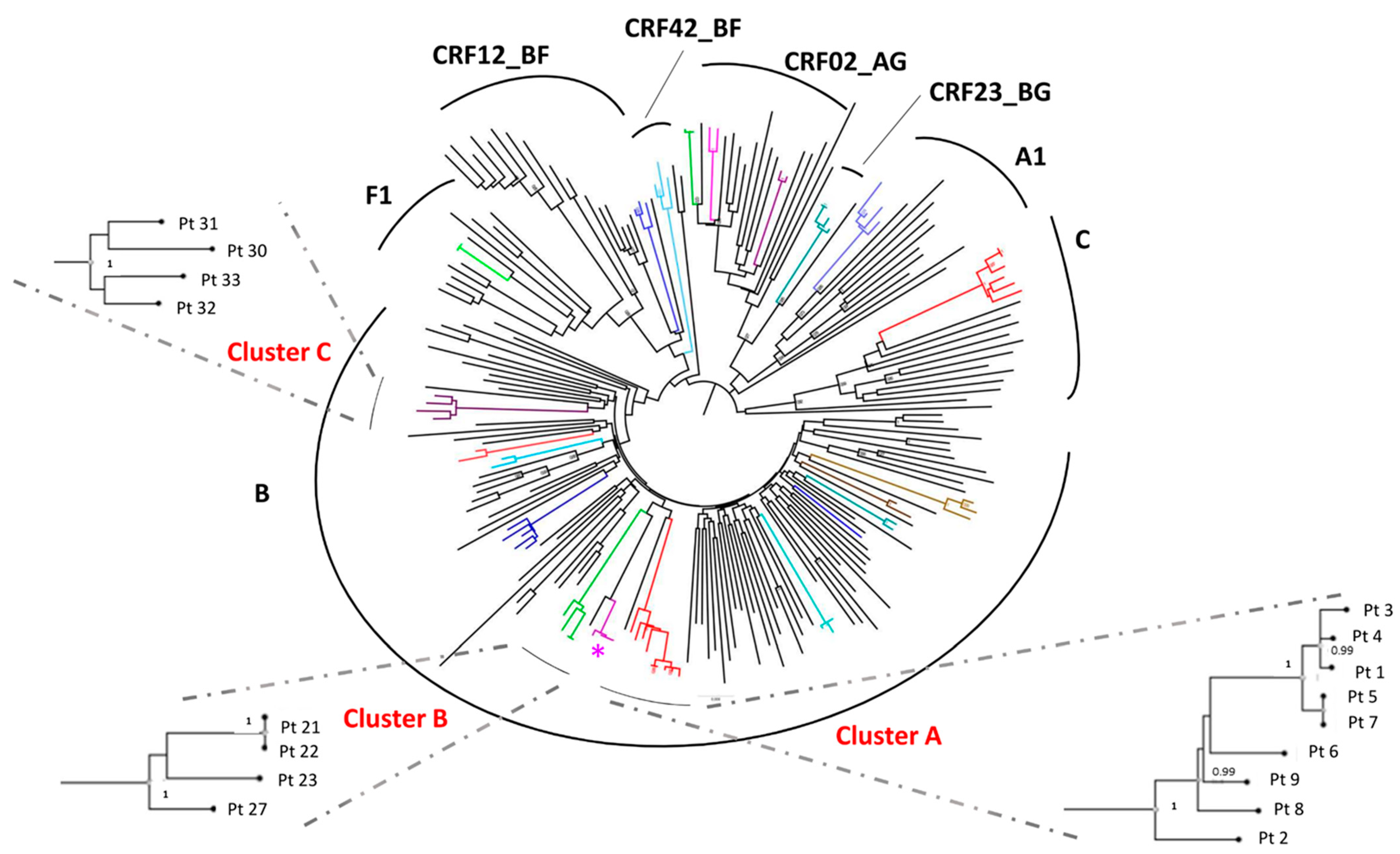 Viruses 13 00176 g001 Viruses 13 00176 g001