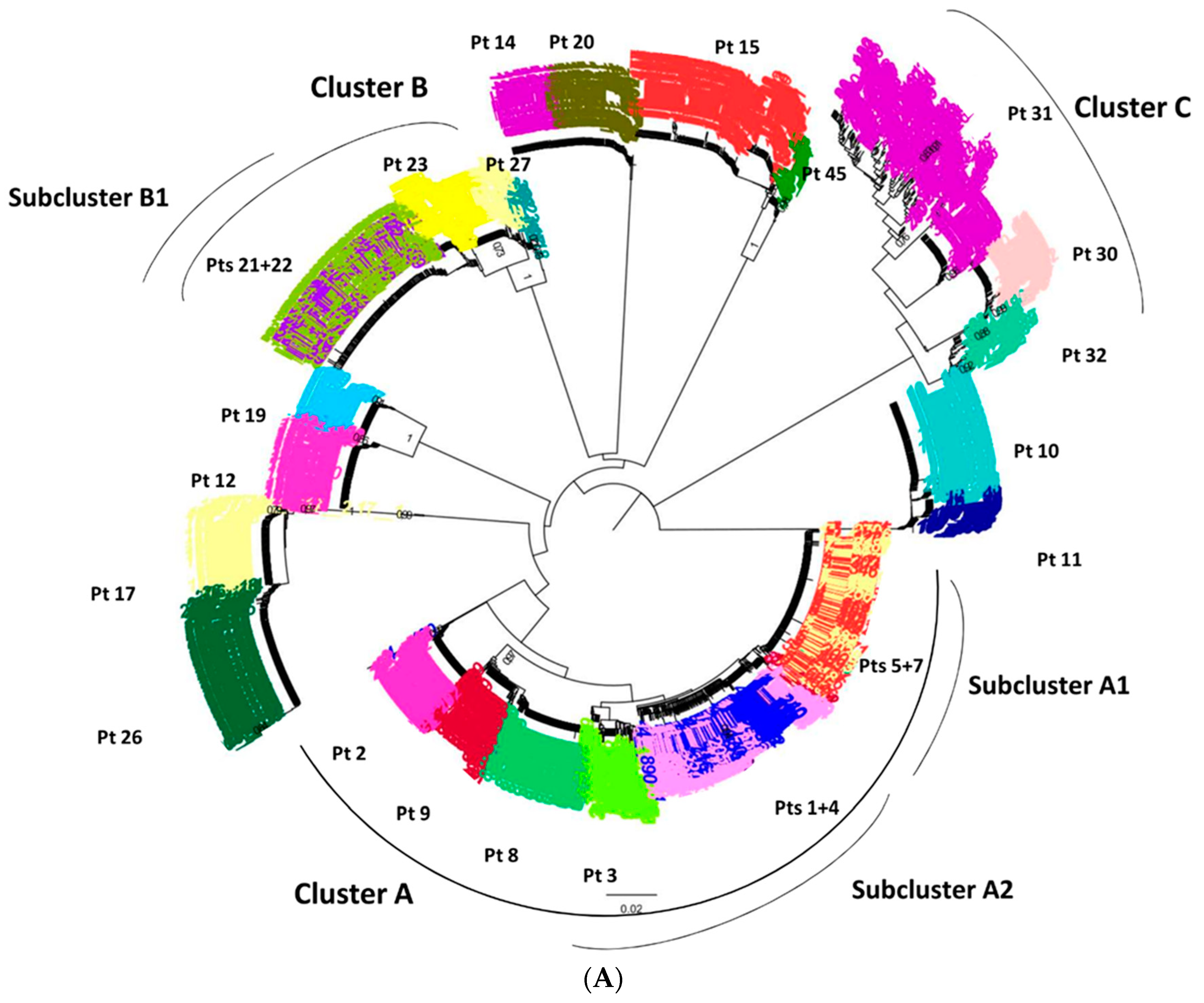 Viruses 13 00176 g002a Viruses 13 00176 g002a