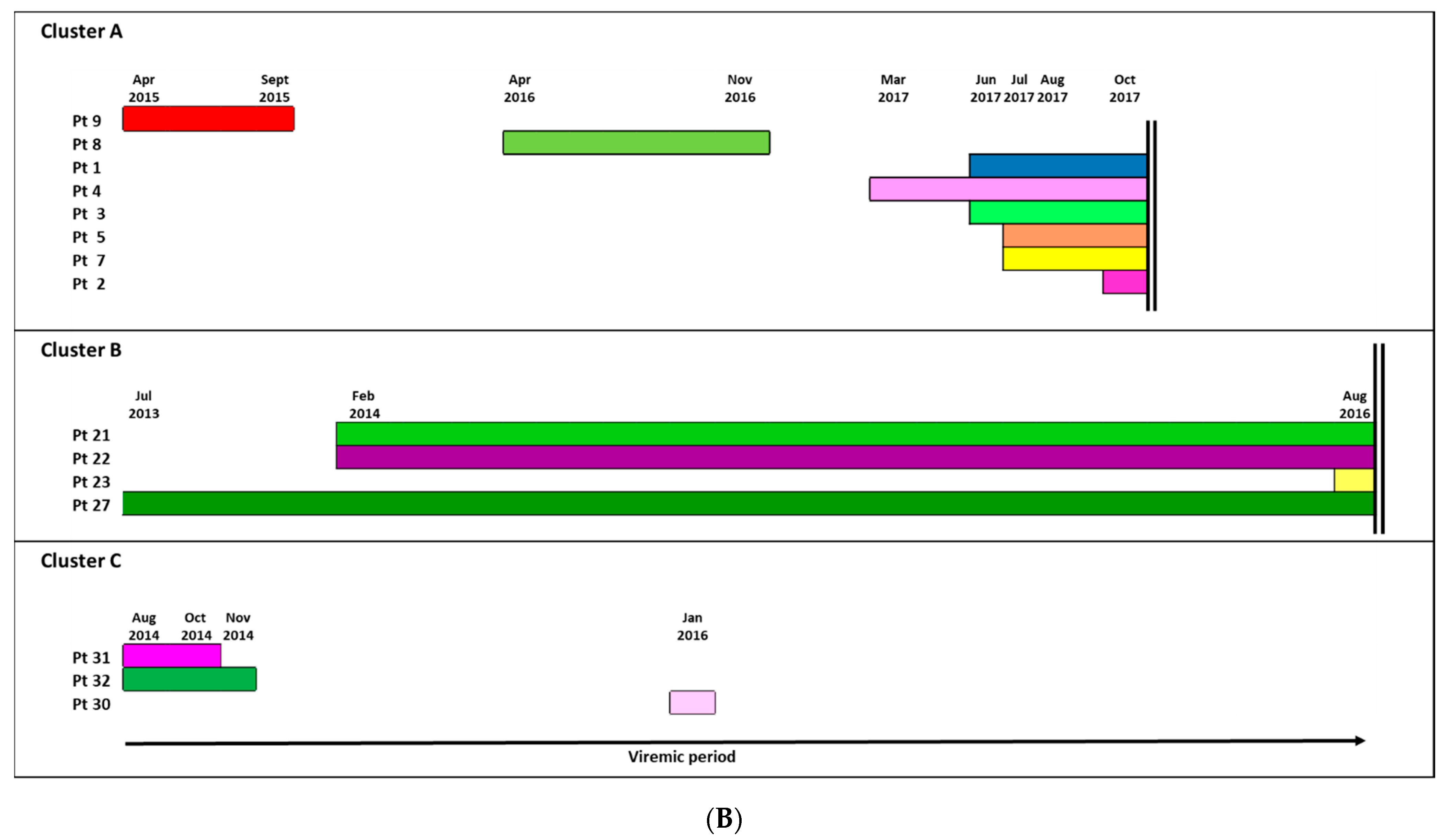 Viruses 13 00176 g002b Viruses 13 00176 g002b