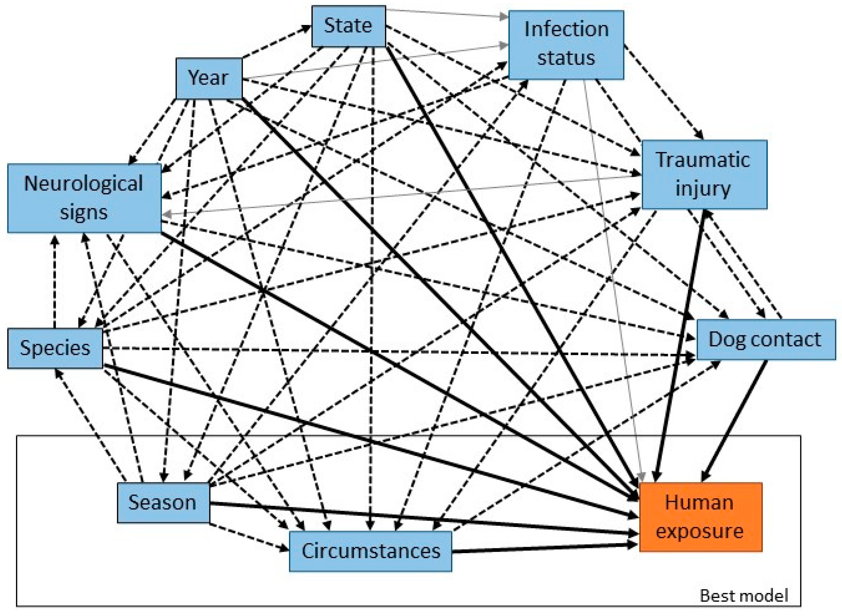 Viruses 13 00189 g005