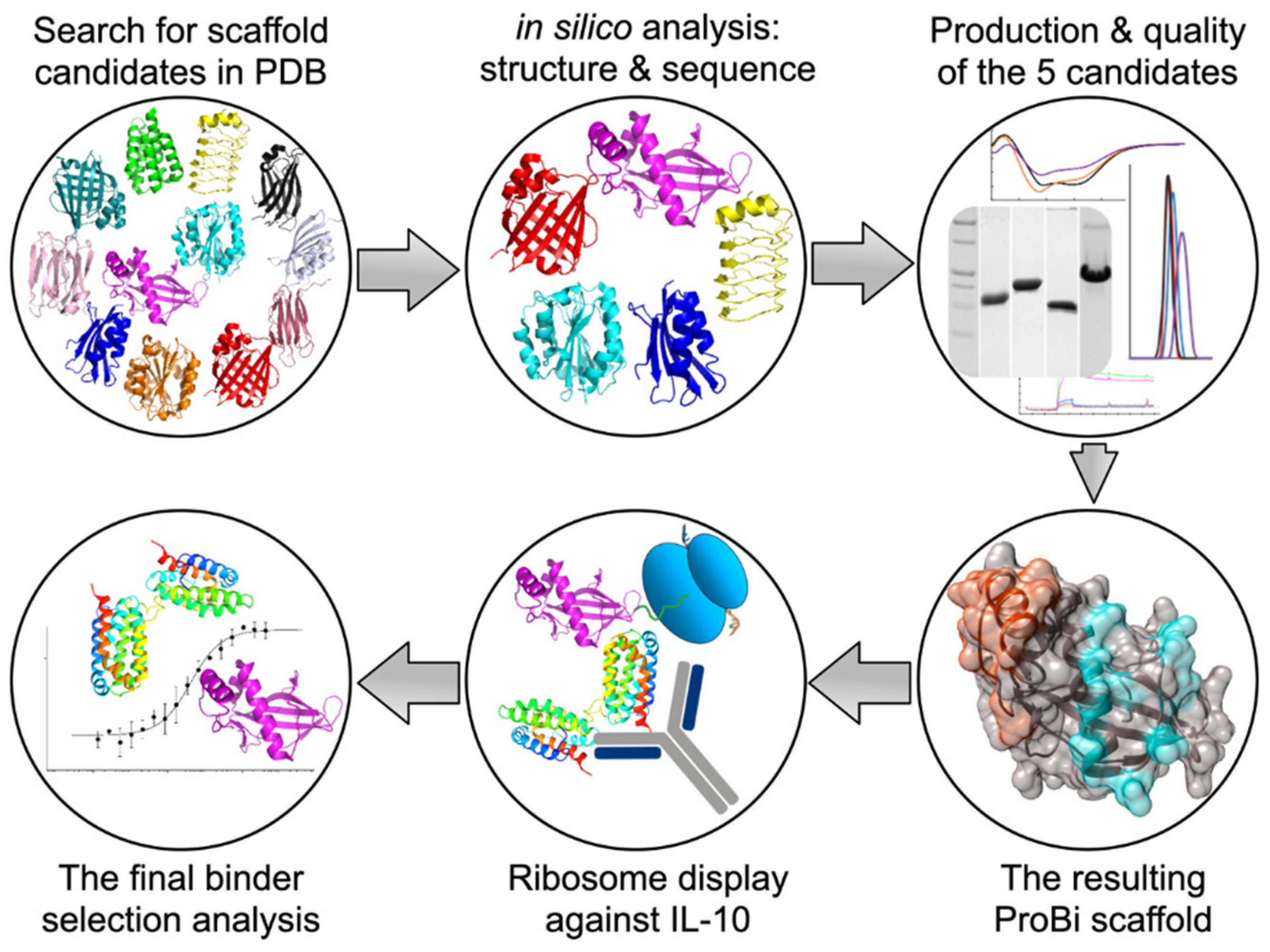 Viruses 13 00190 sch001
