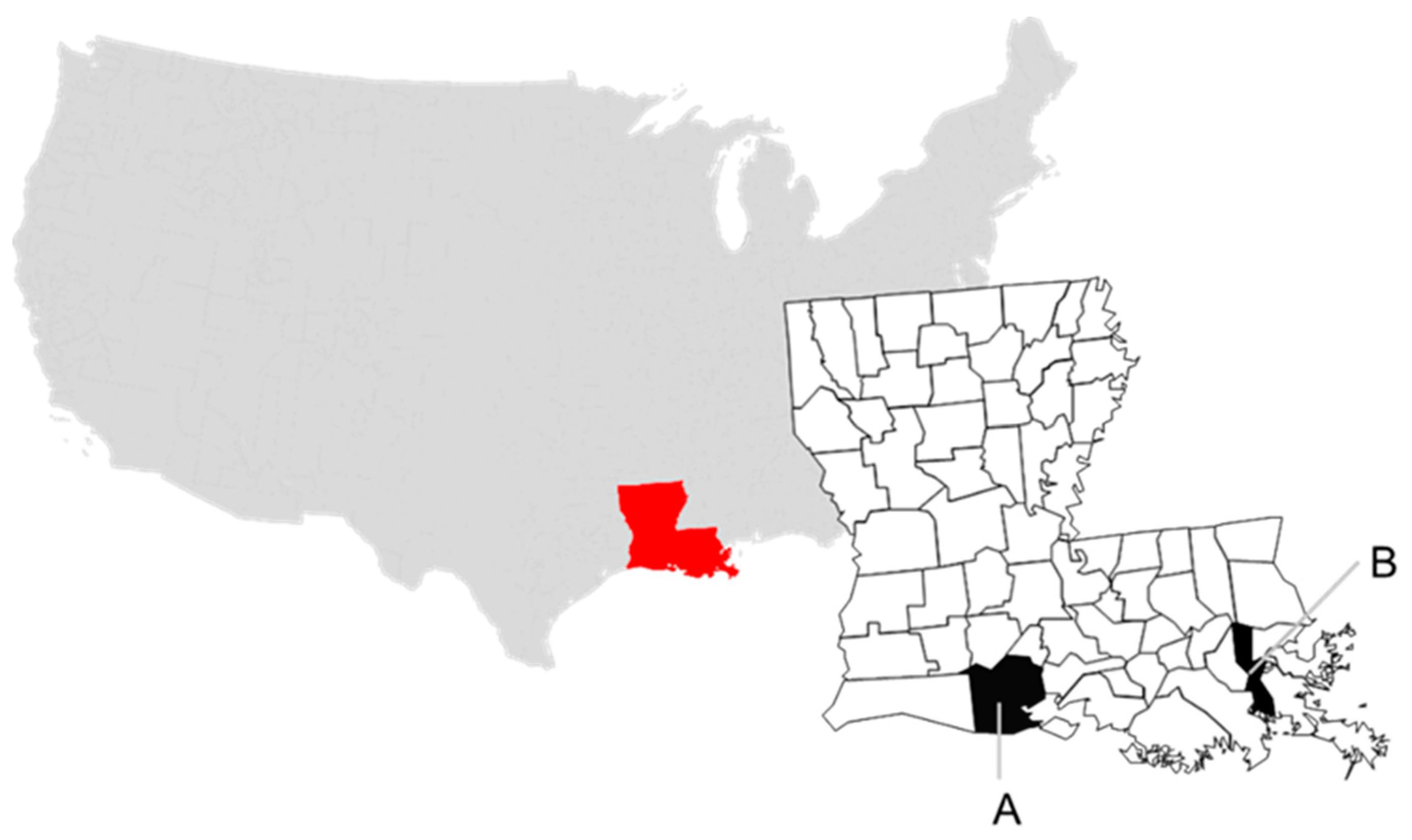 Viruses 13 00192 g001