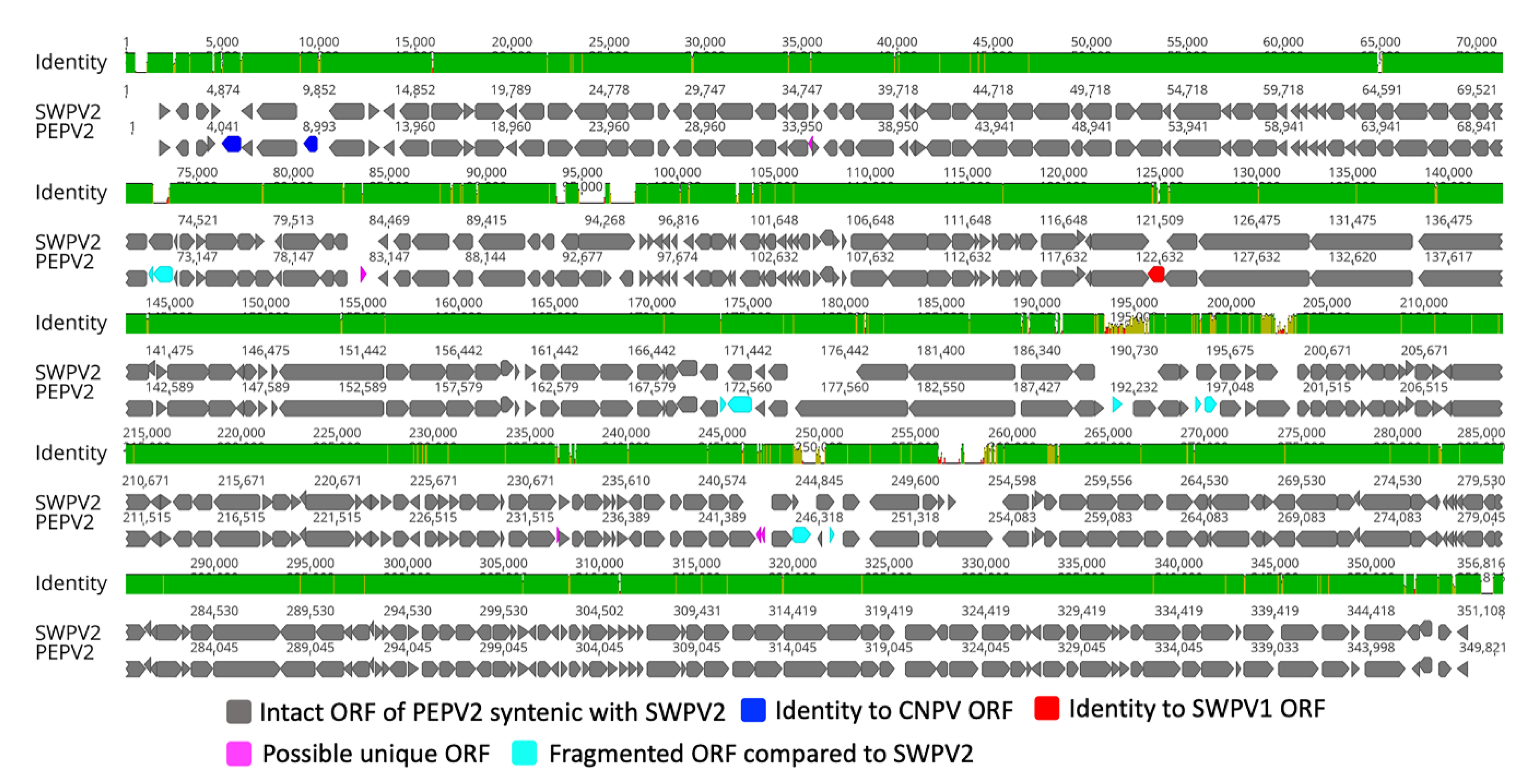 Viruses 13 00194 g001