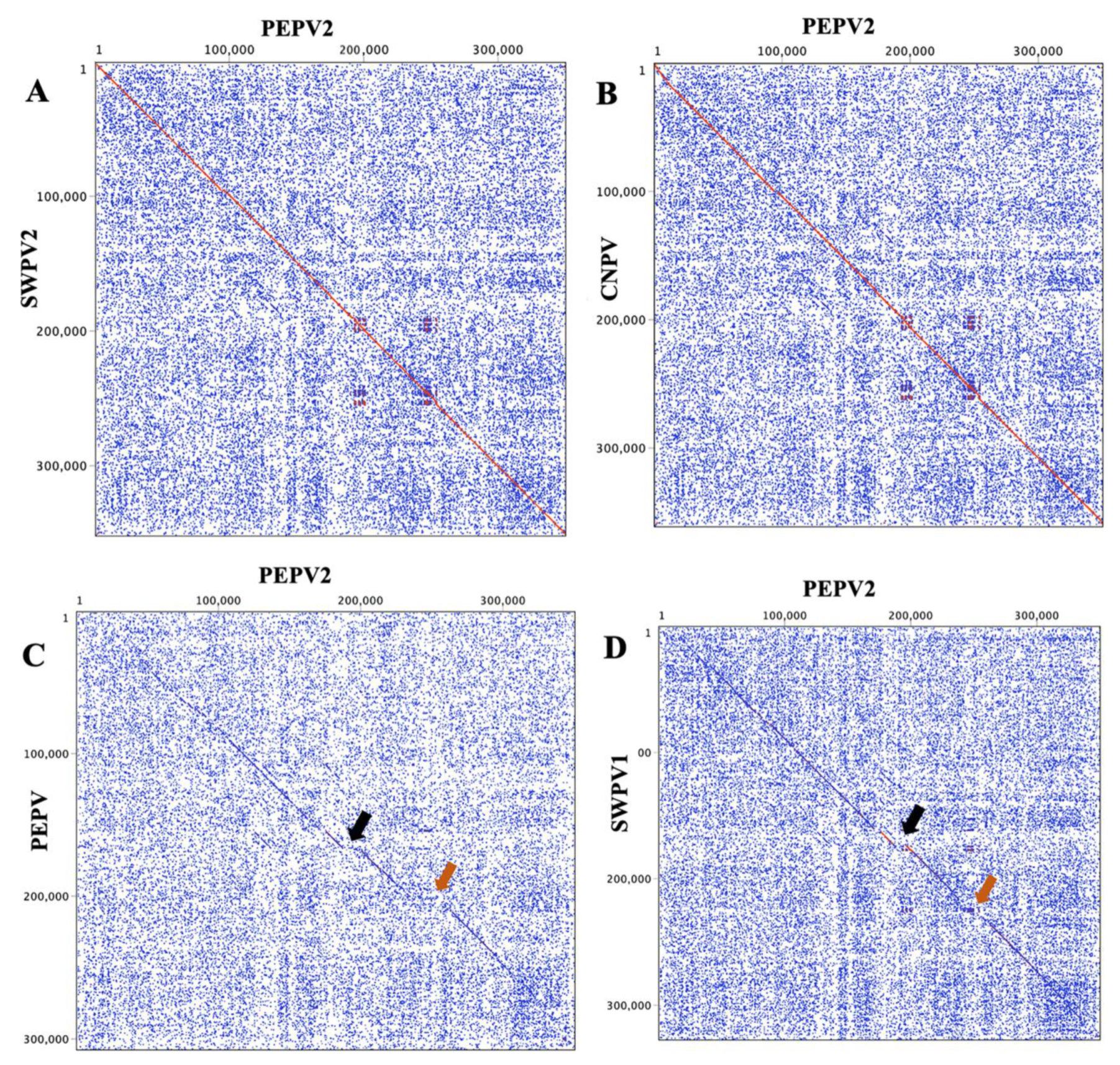 Viruses 13 00194 g002