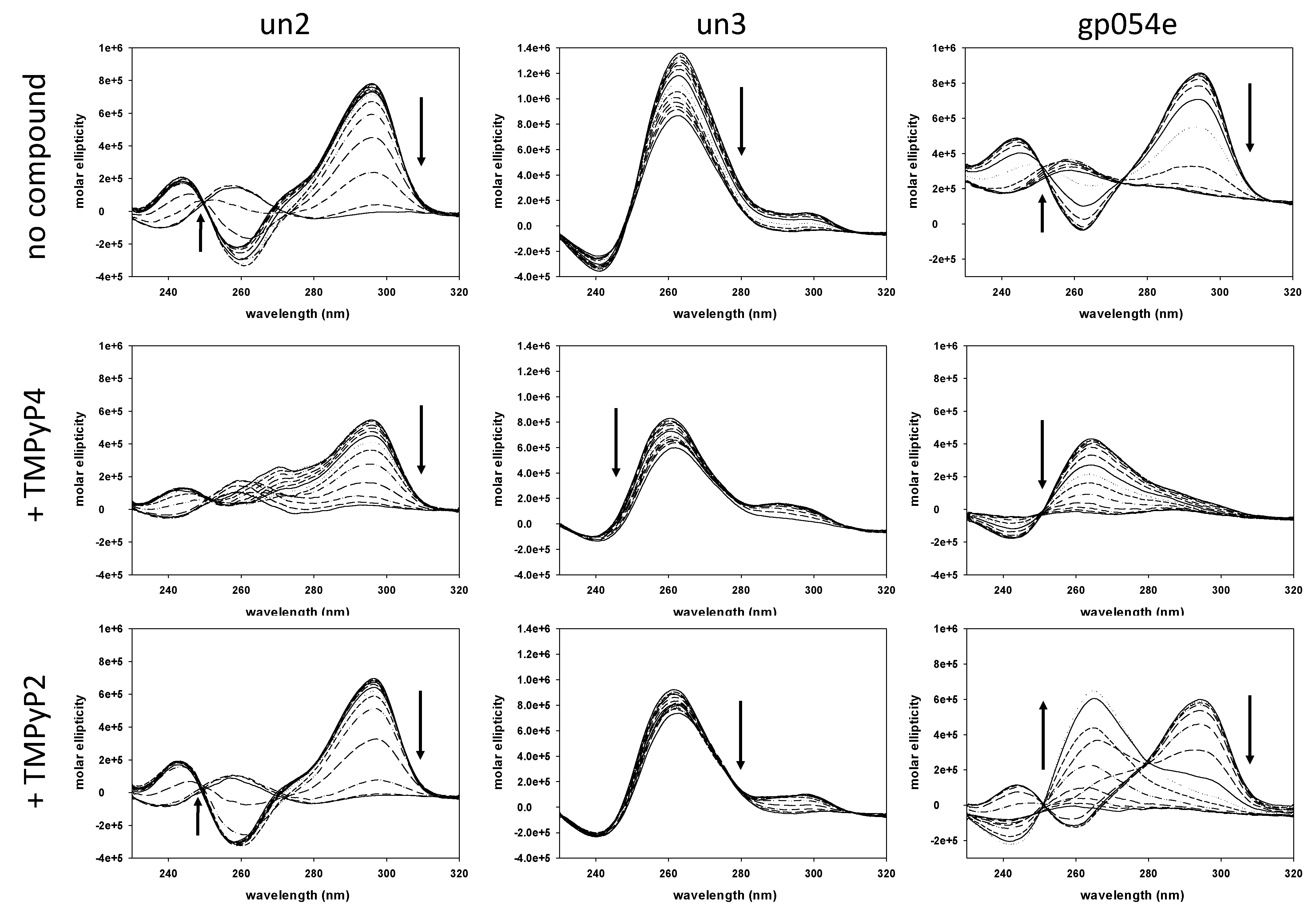 Viruses 13 00196 g002