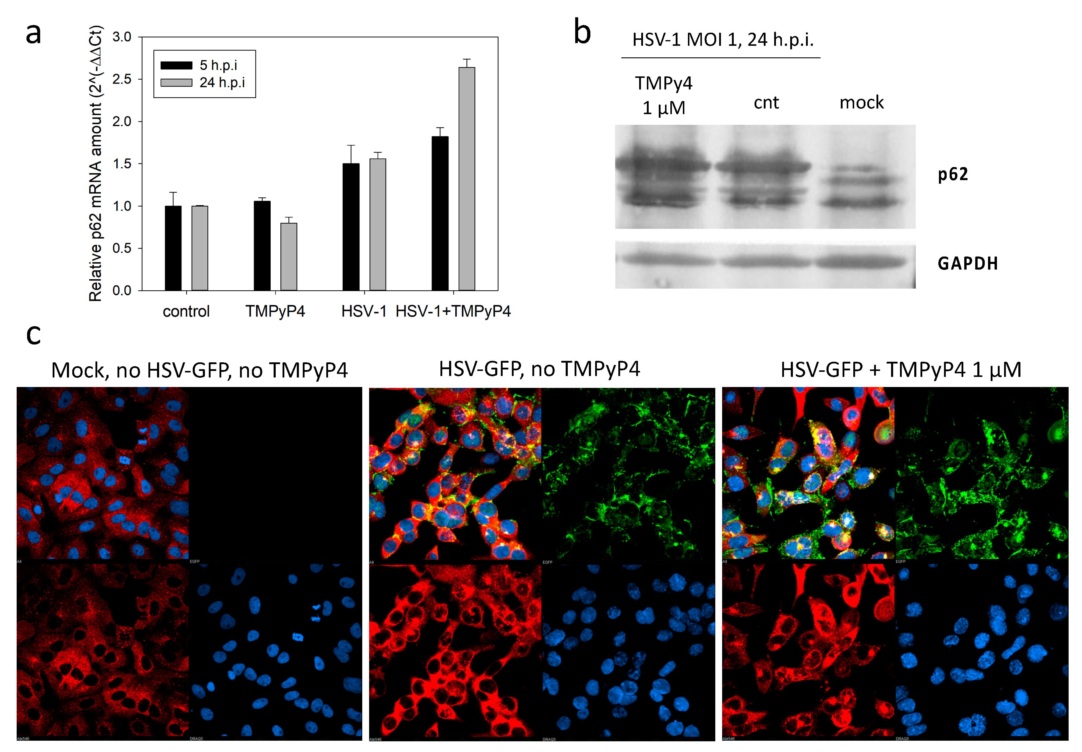 Viruses 13 00196 g009