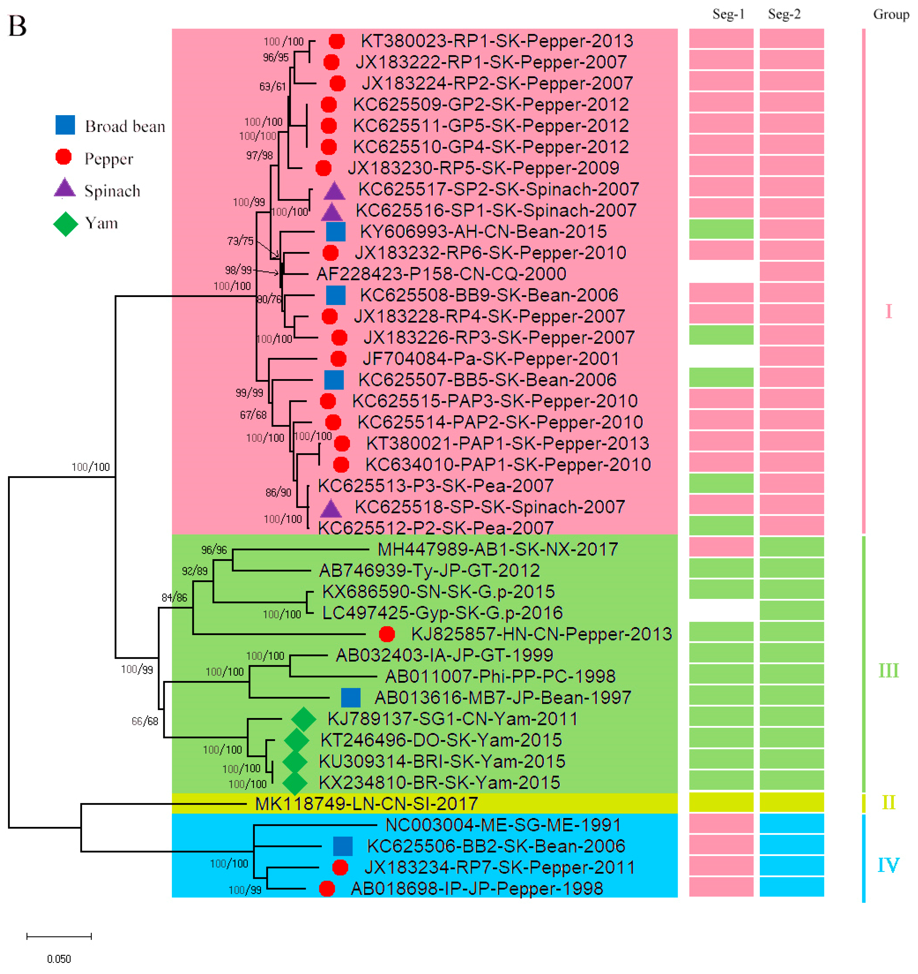Viruses 13 00198 g001b