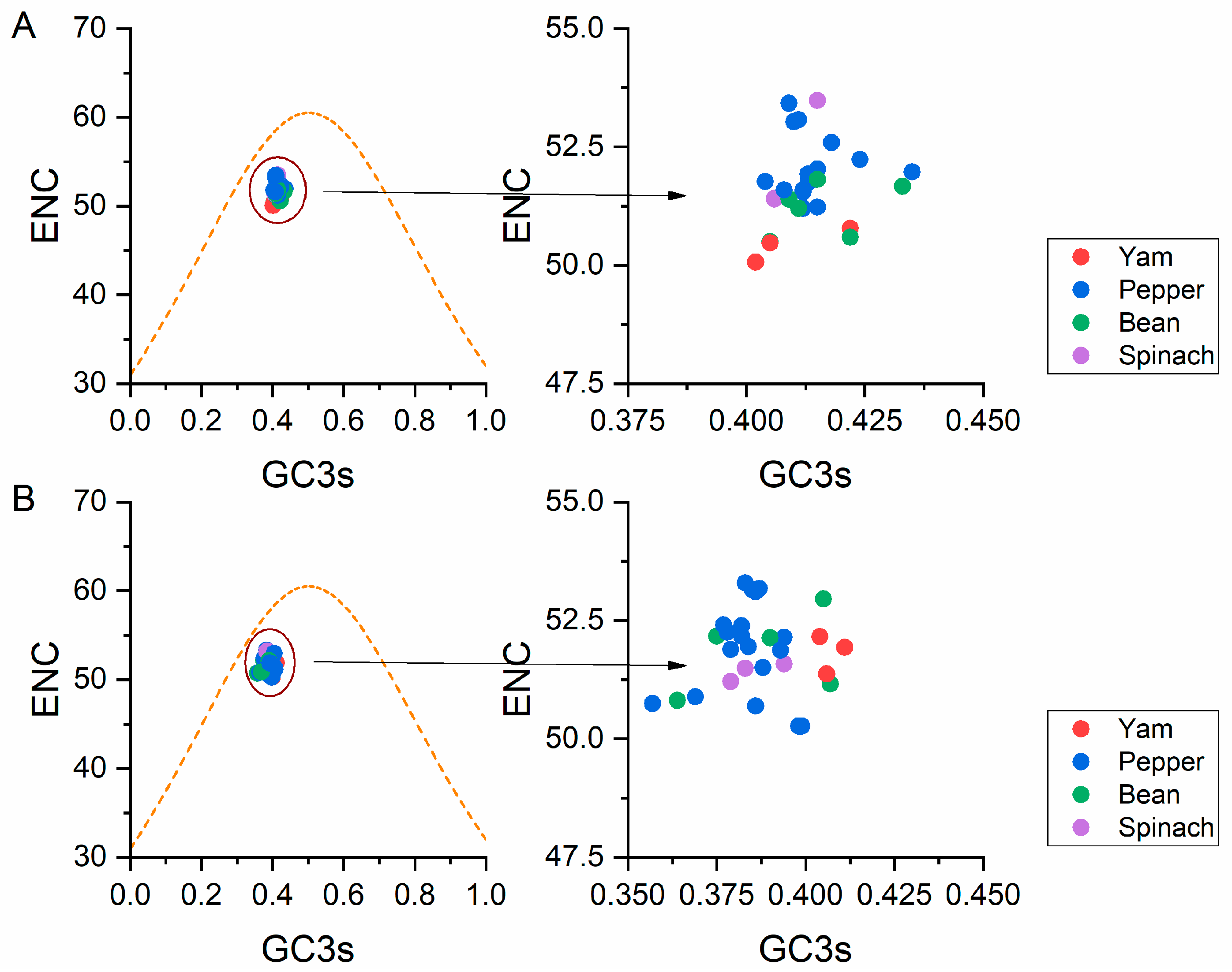 Viruses 13 00198 g004