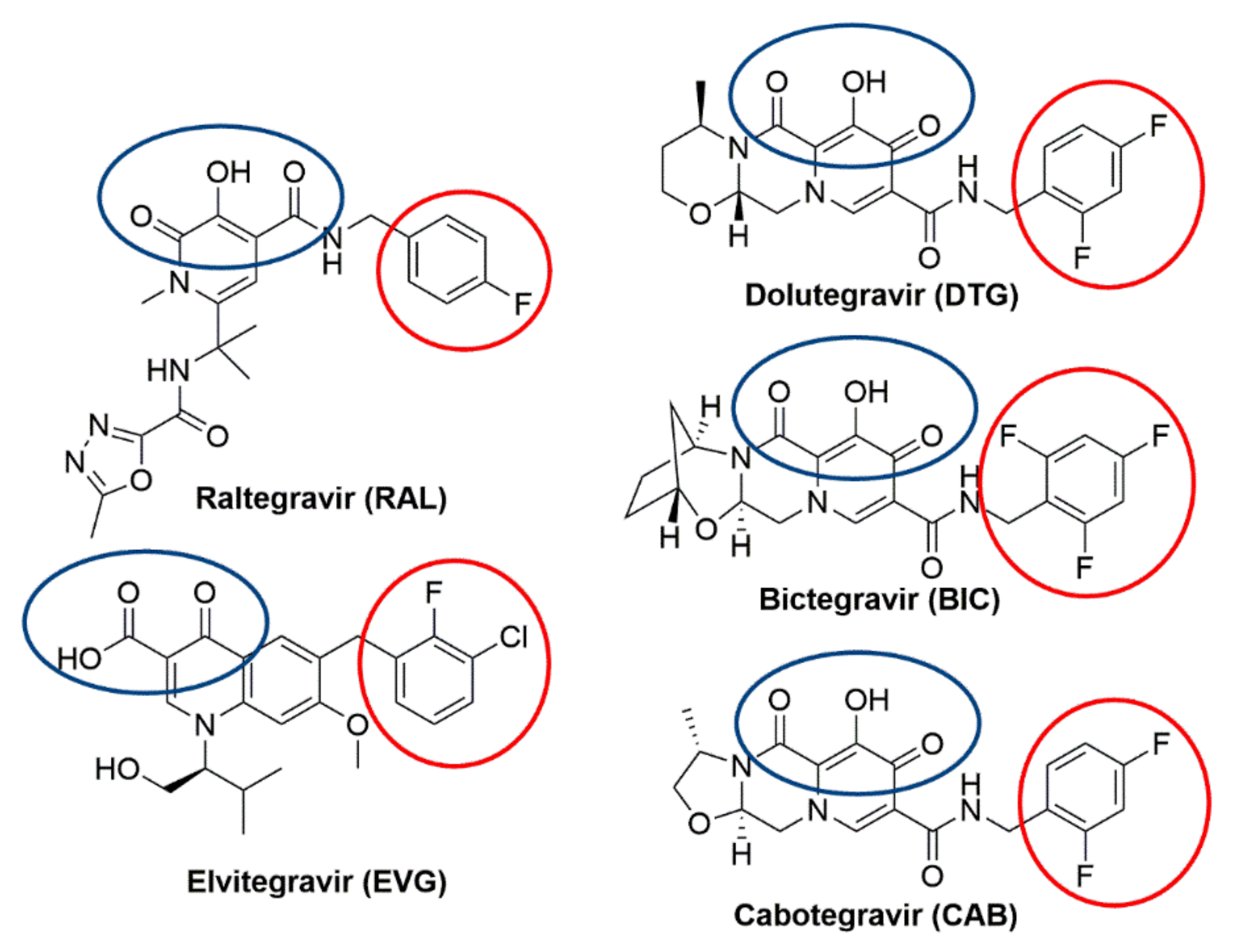 Viruses 13 00205 g001 Viruses 13 00205 g001
