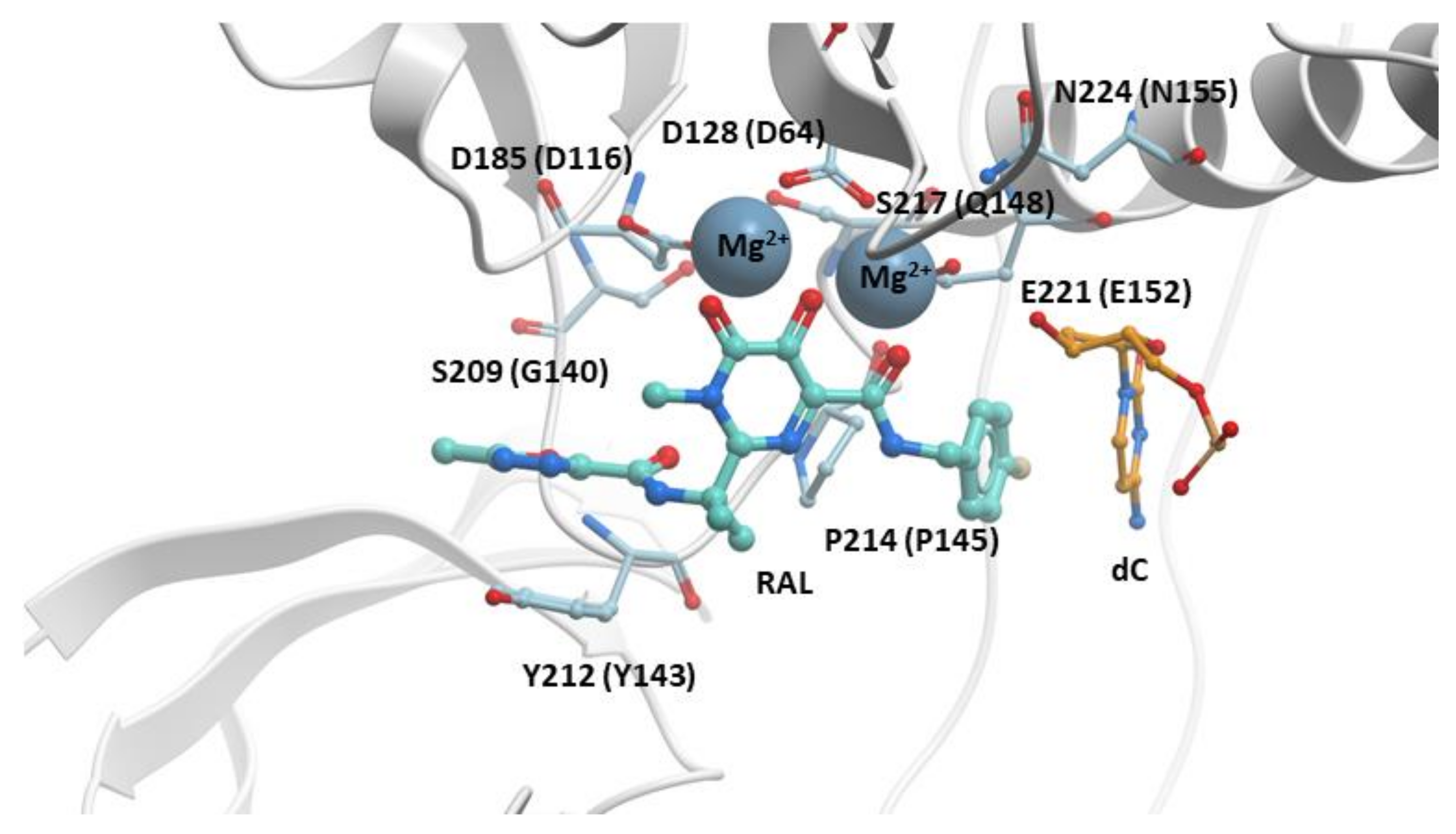 Viruses 13 00205 g002 Viruses 13 00205 g002