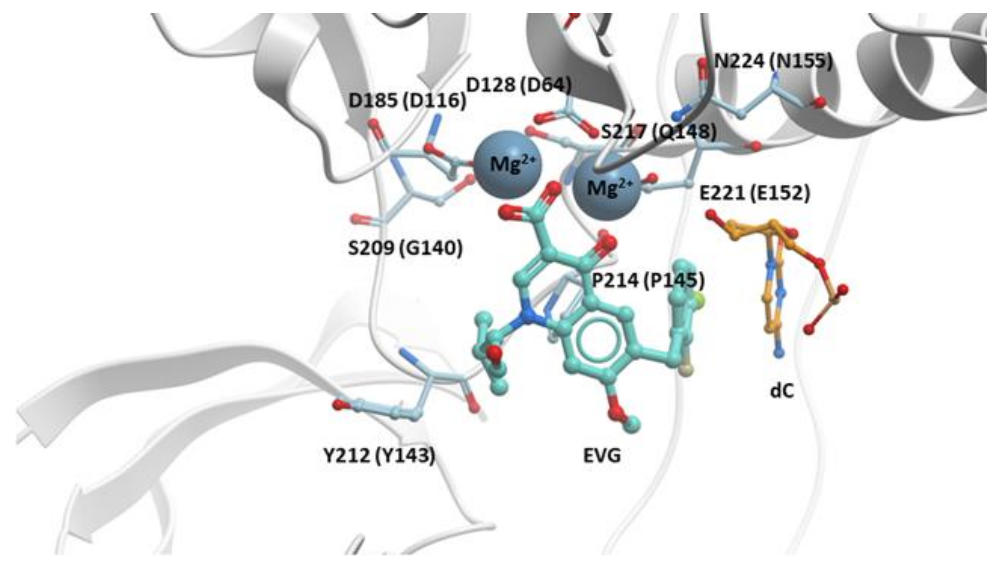 Viruses 13 00205 g003 Viruses 13 00205 g003