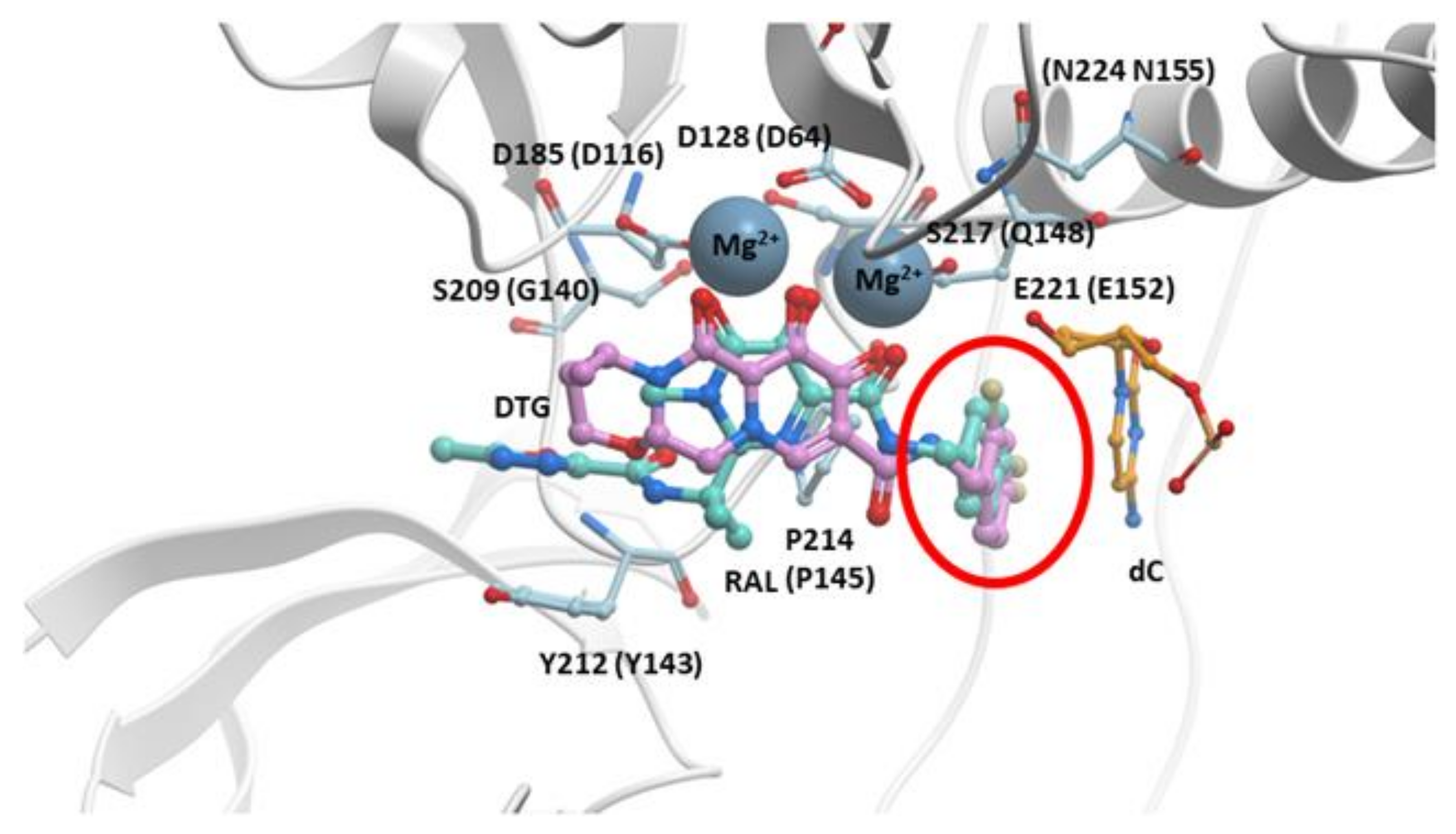 Viruses 13 00205 g004 Viruses 13 00205 g004