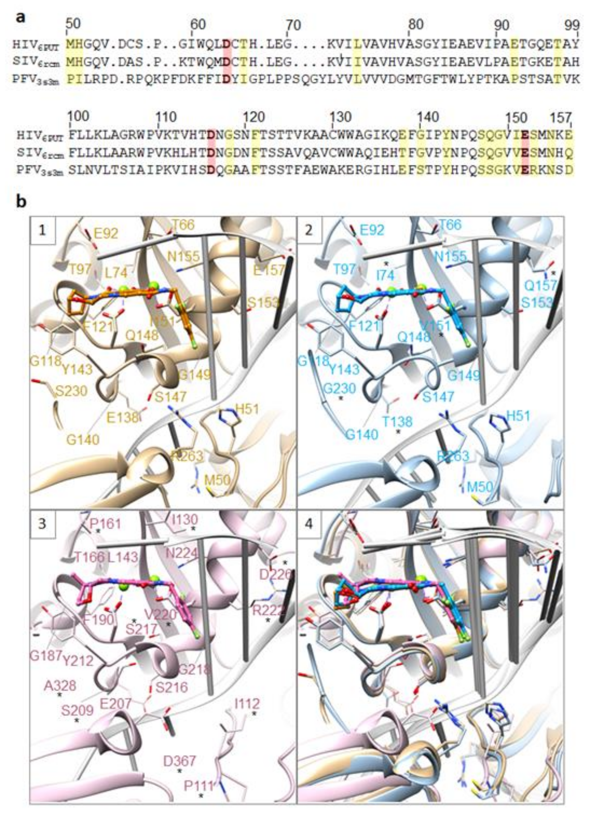 Viruses 13 00205 g007 Viruses 13 00205 g007