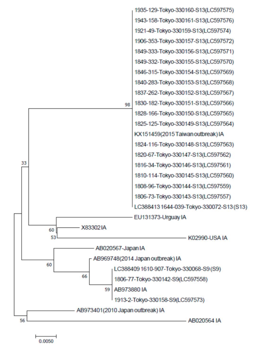 Viruses 13 00207 g001