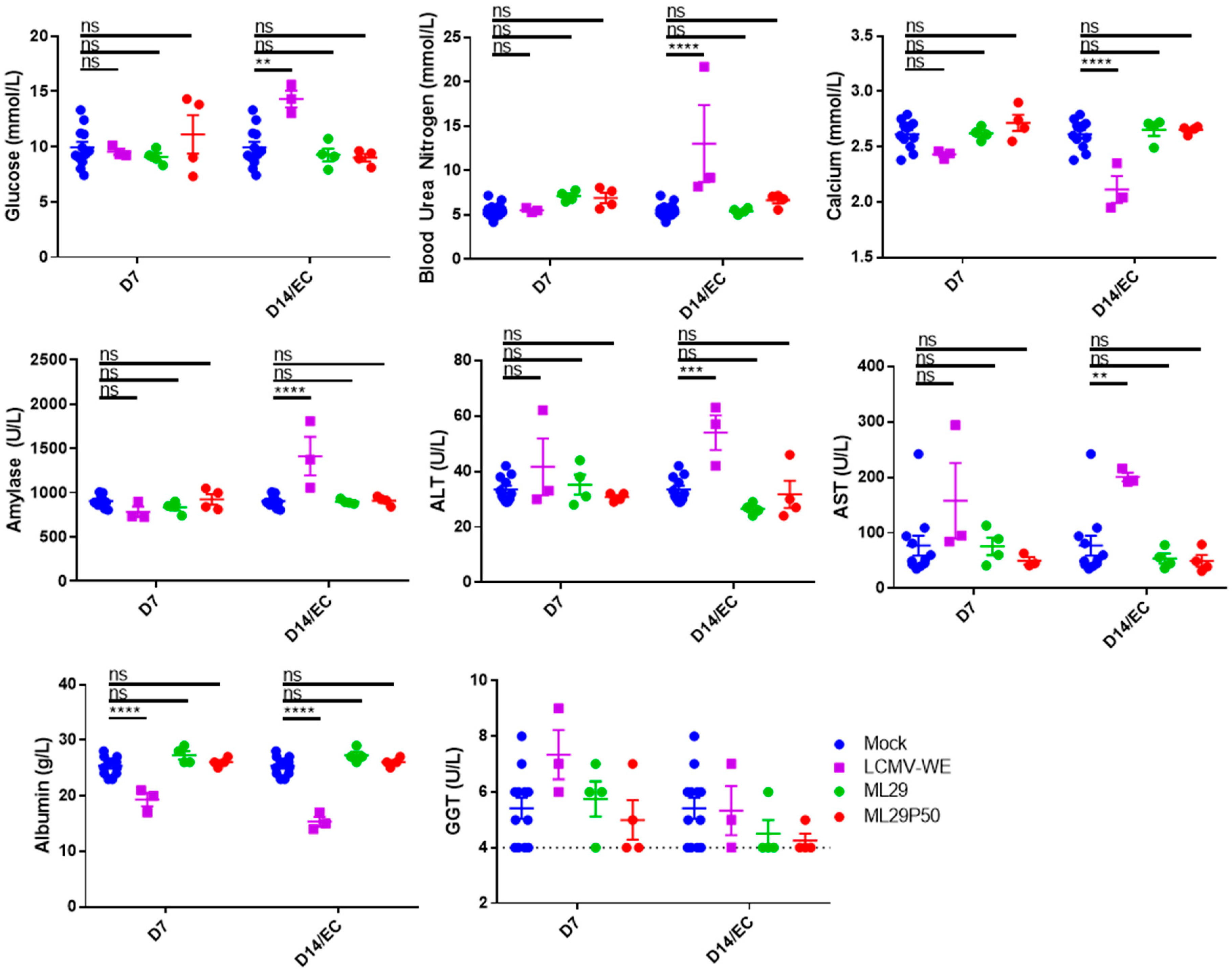 Viruses 13 00214 g004