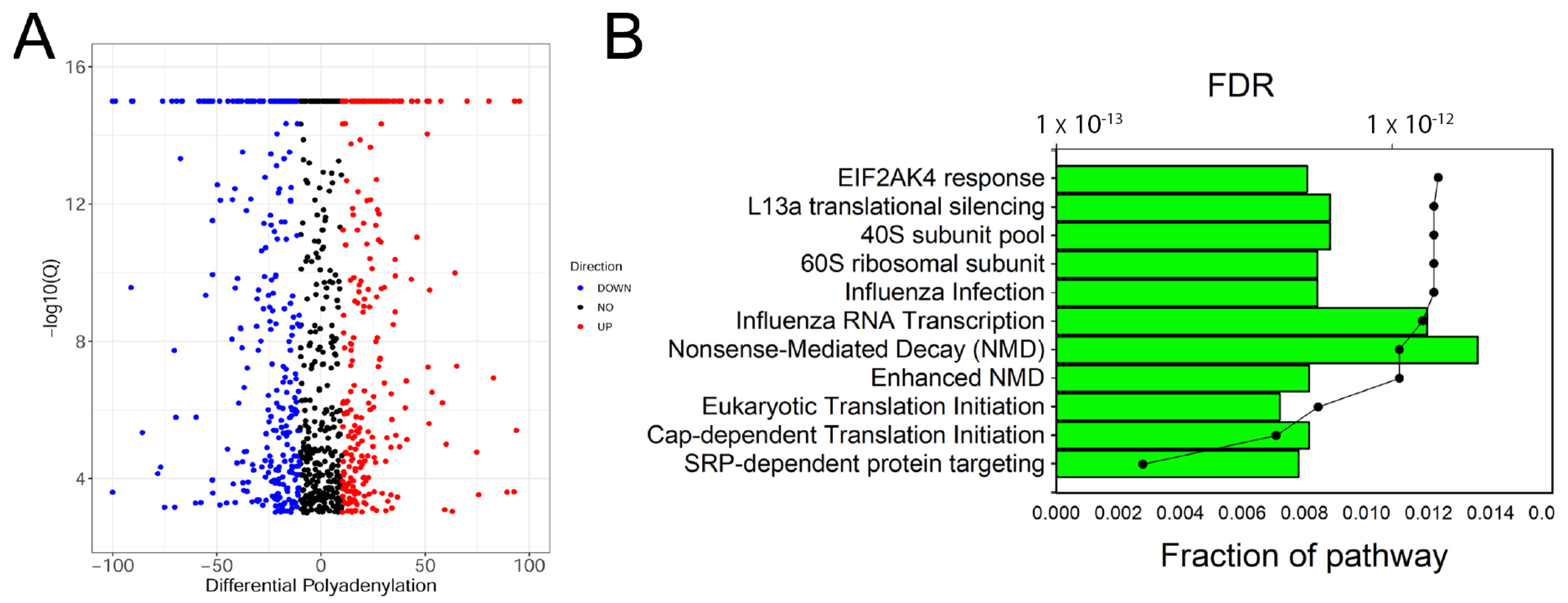 Viruses 13 00218 g003