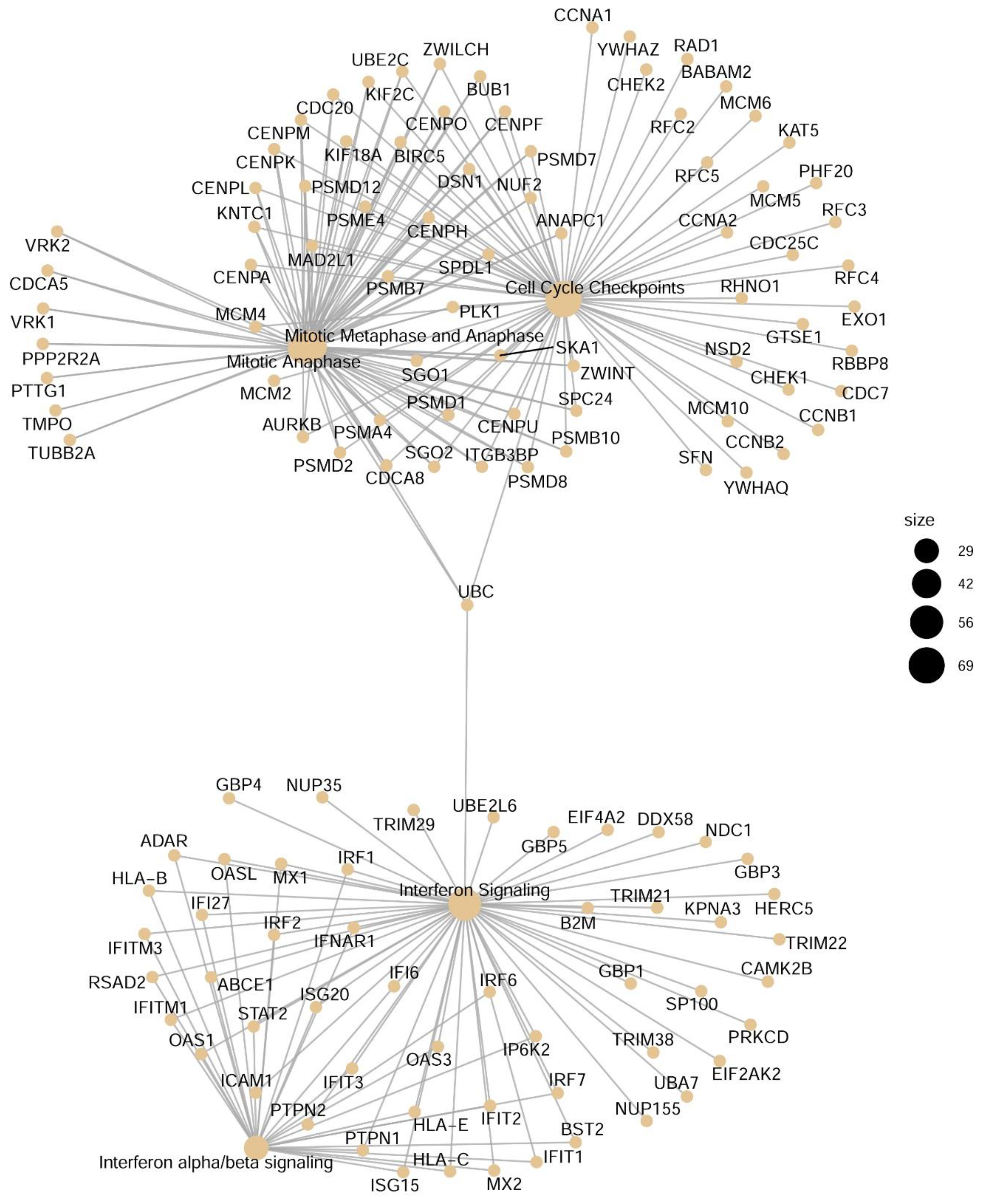 Viruses 13 00218 g006