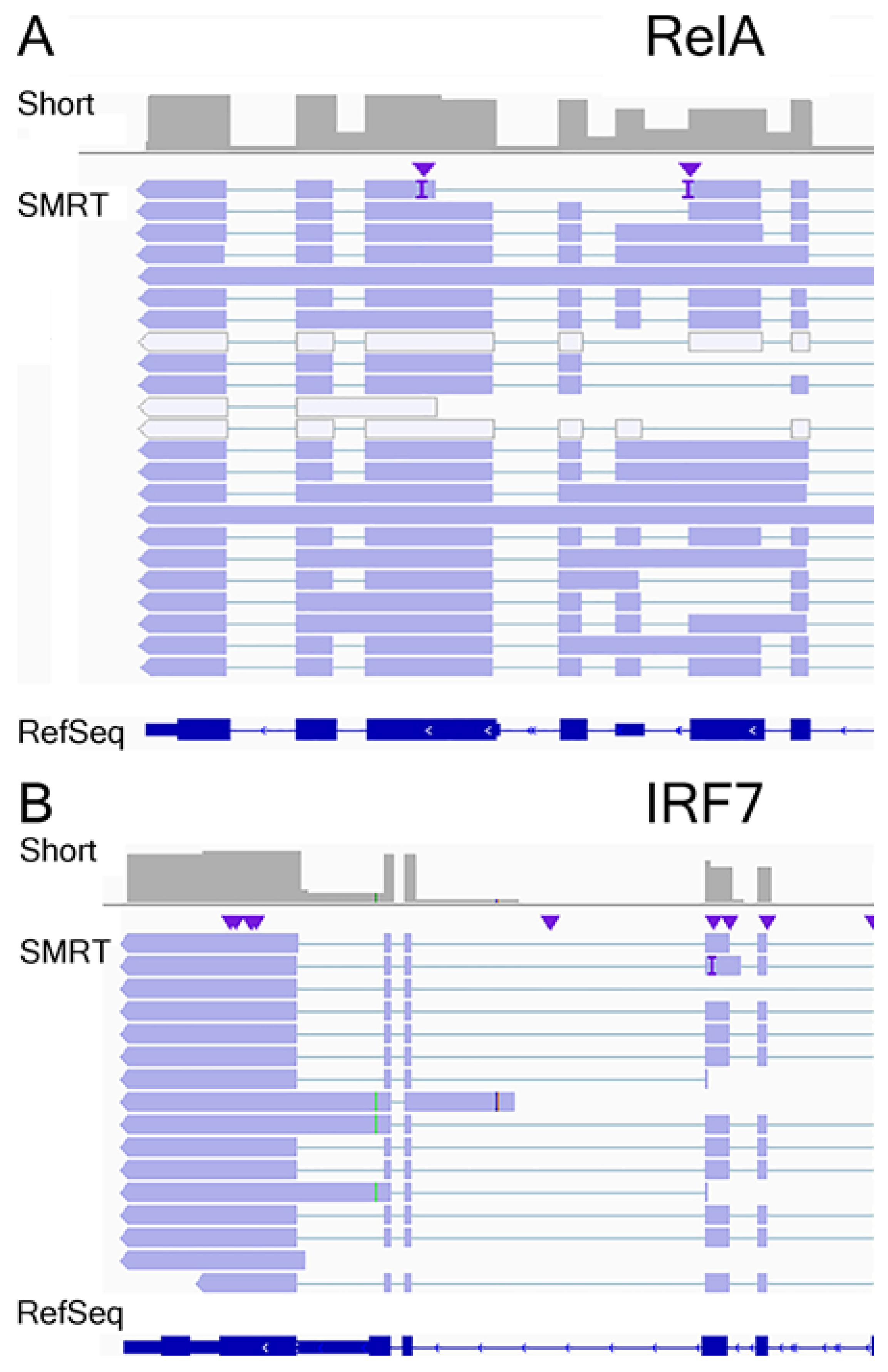 Viruses 13 00218 g007