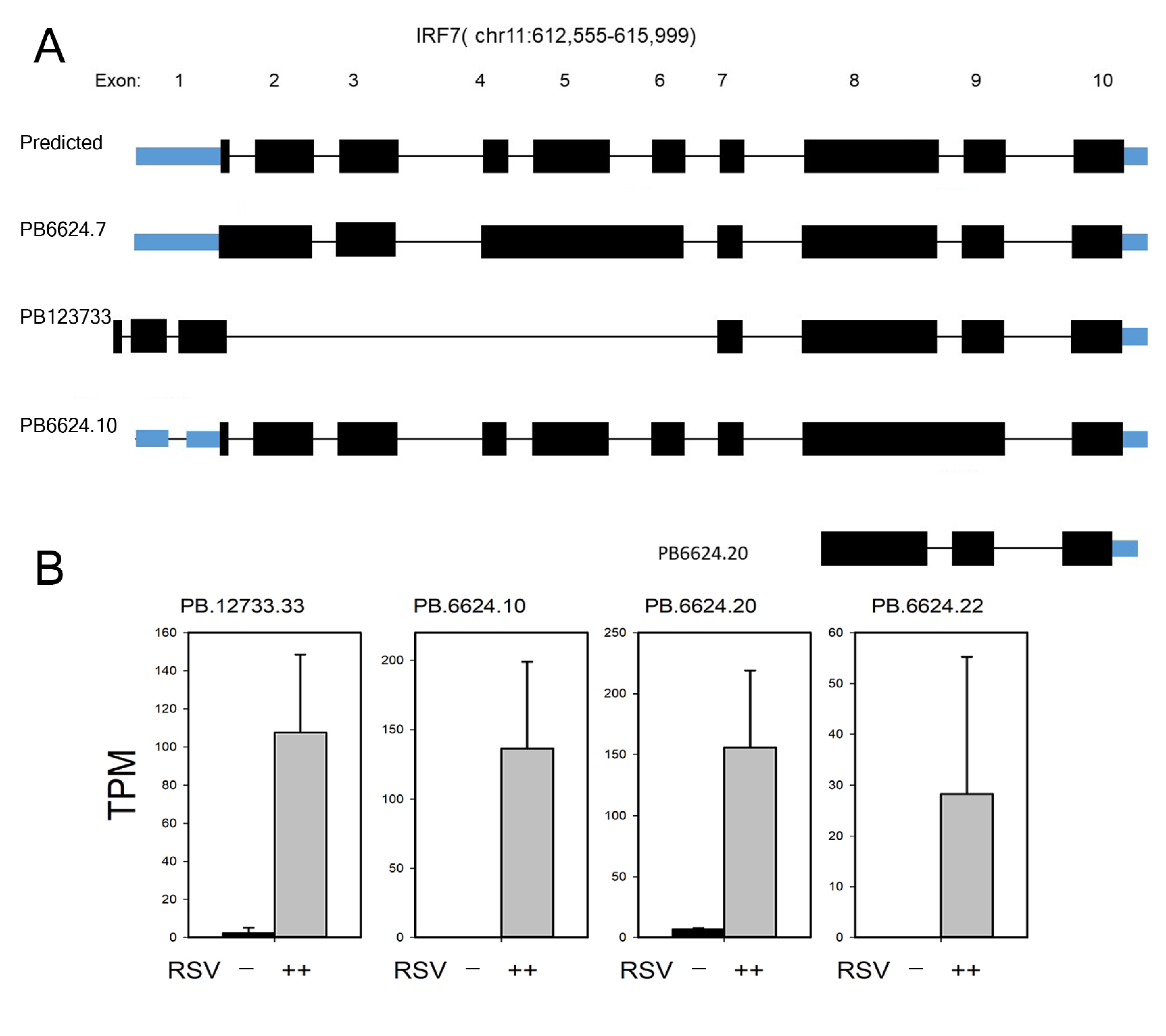 Viruses 13 00218 g009
