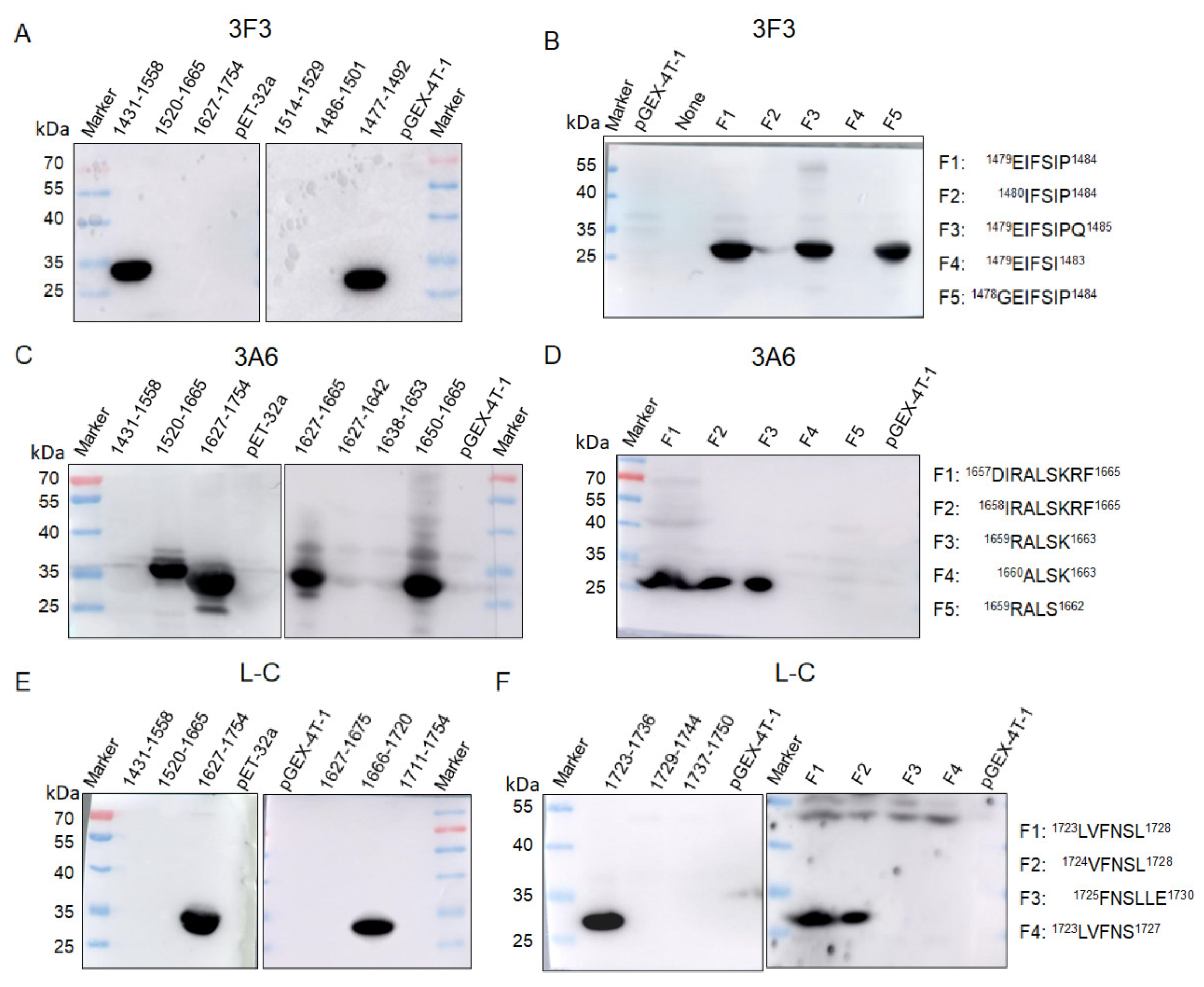 Viruses 13 00220 g003