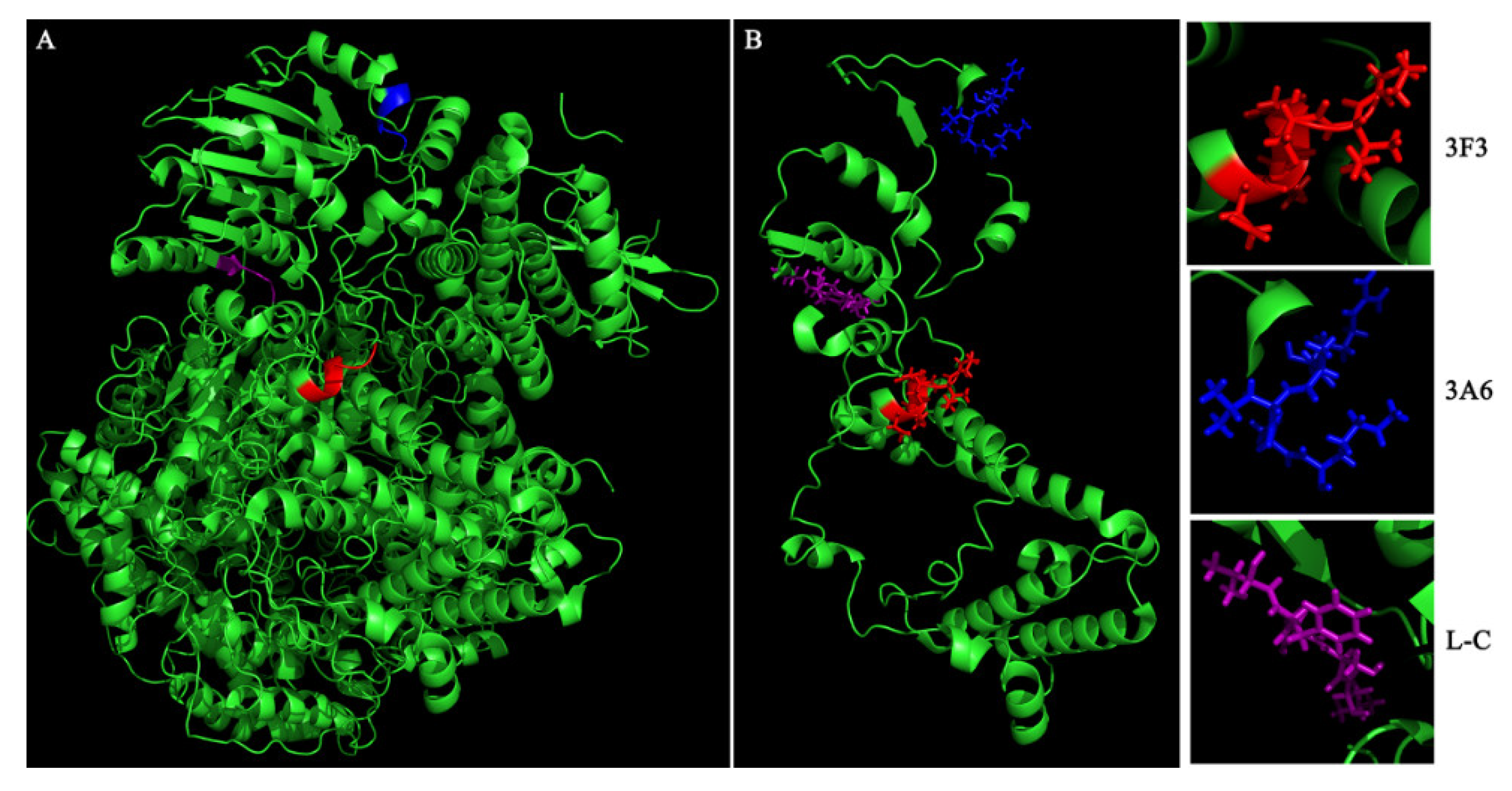 Viruses 13 00220 g004