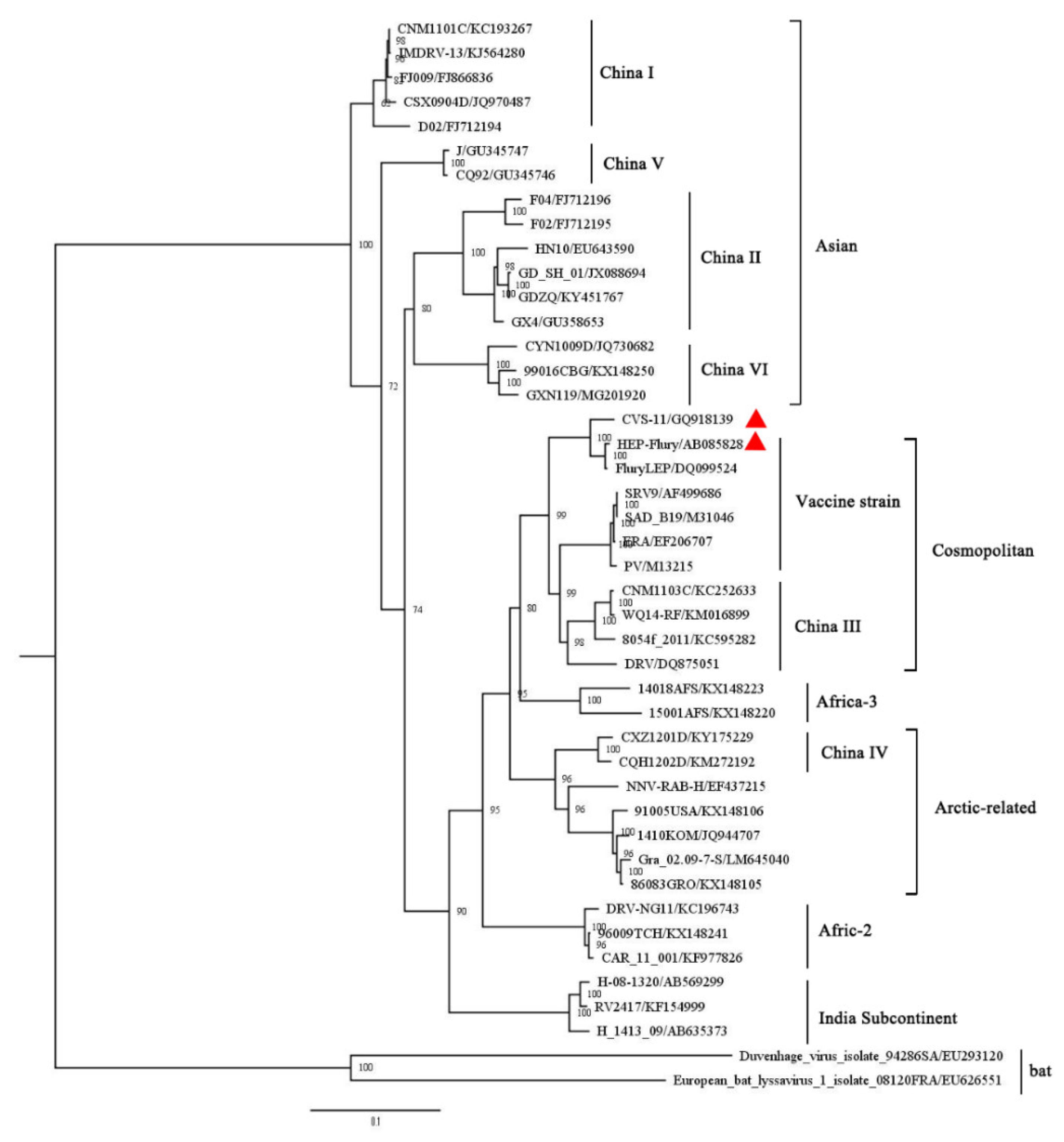Viruses 13 00220 g006