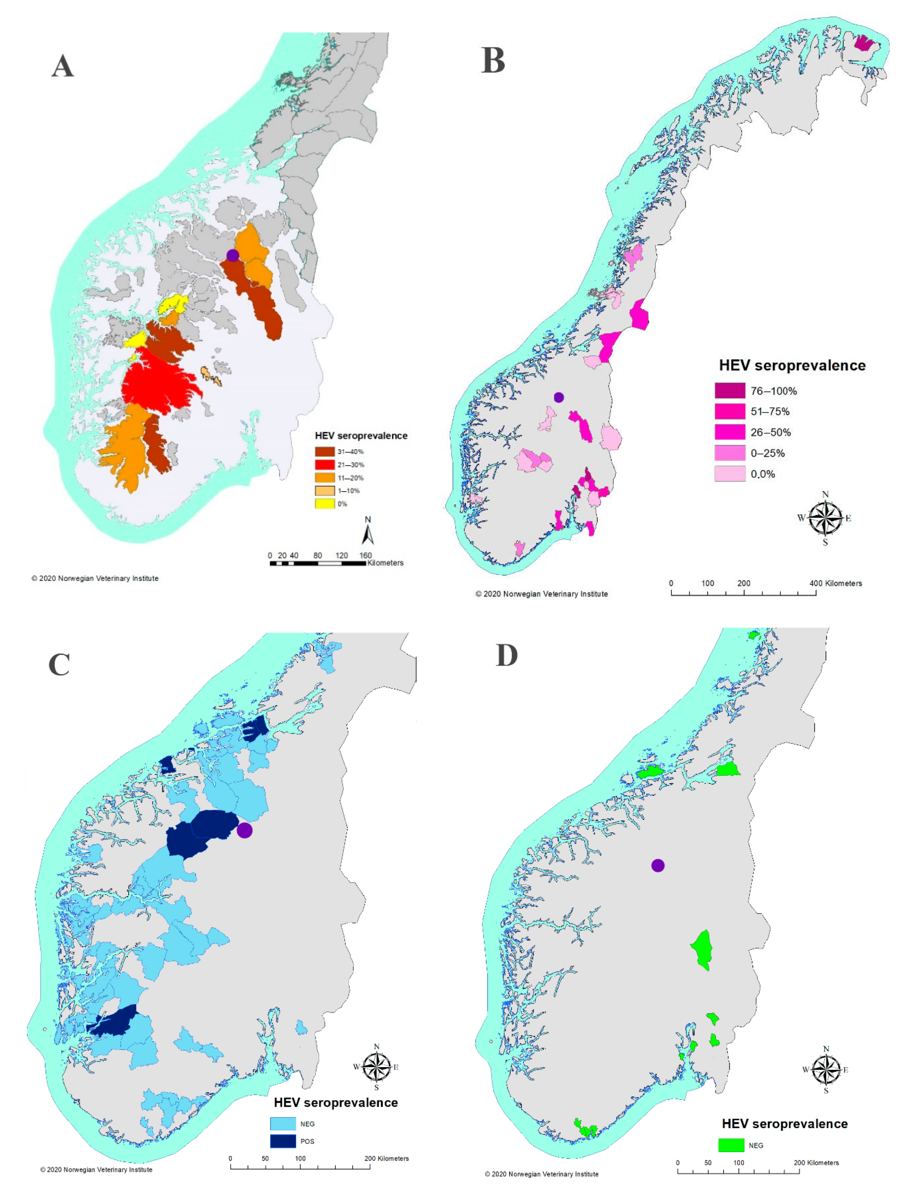 Viruses 13 00224 g001