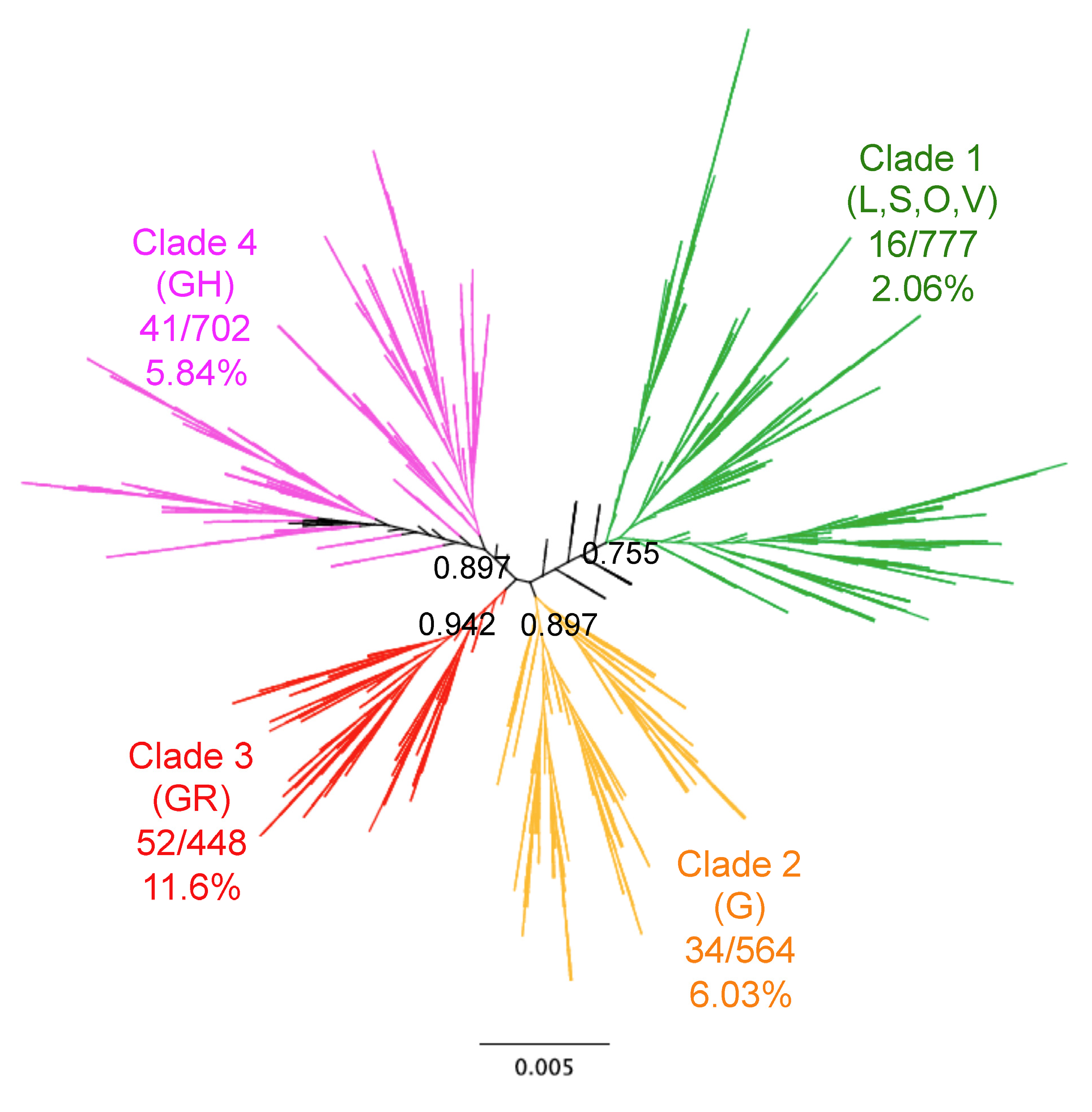 Viruses 13 00227 g001