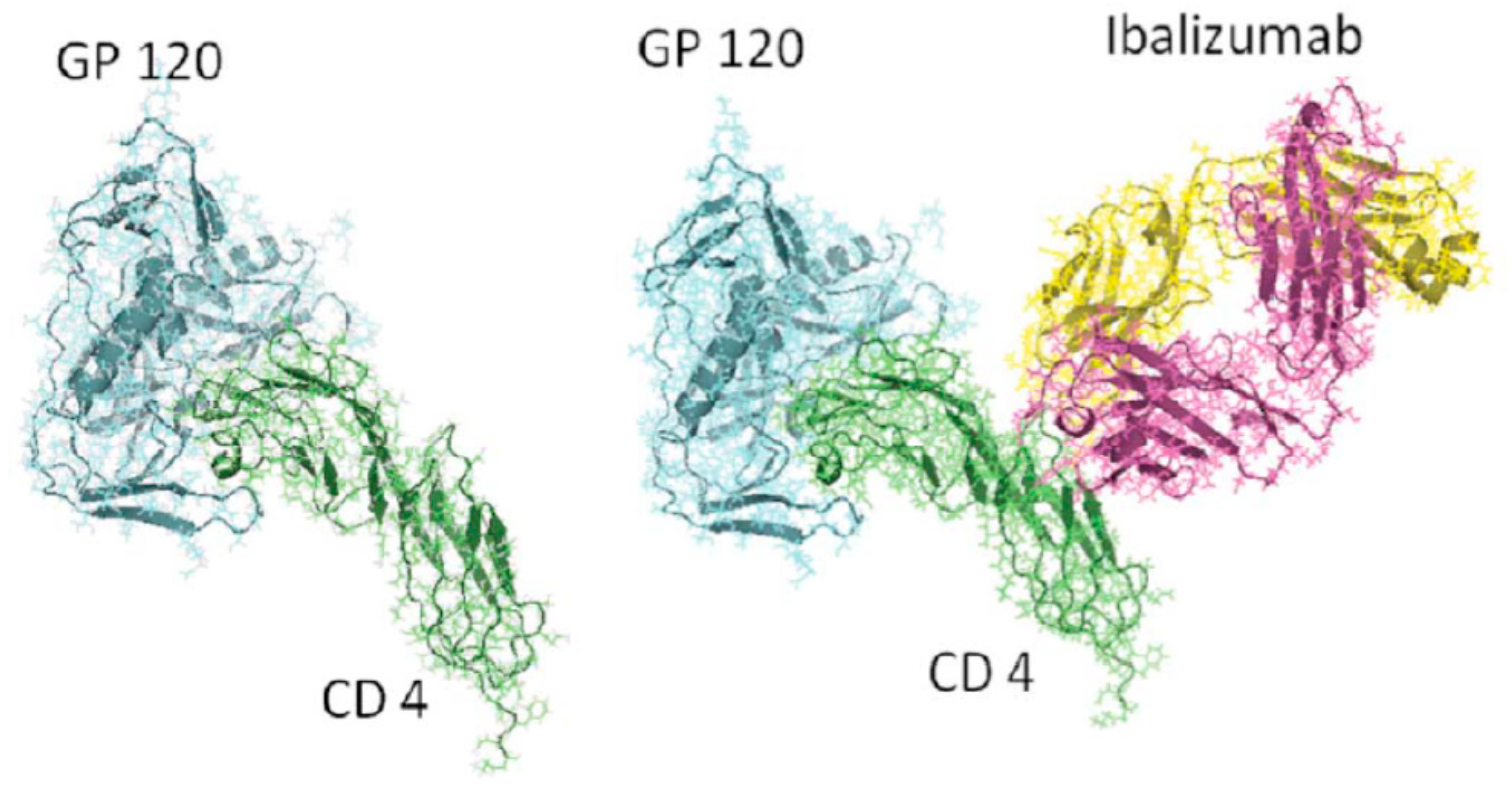 Viruses 13 00228 g005 Viruses 13 00228 g005