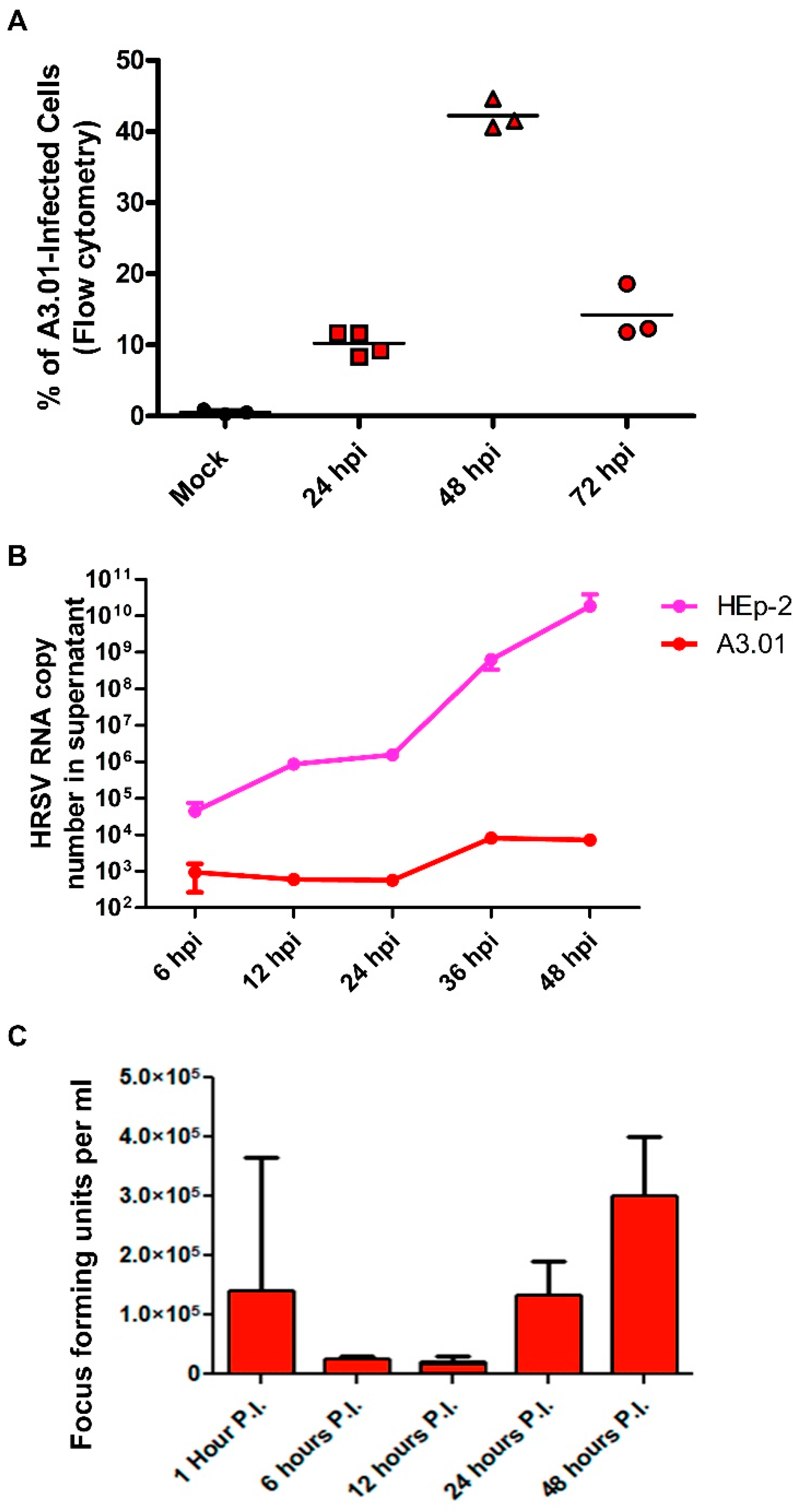 Viruses 13 00231 g001