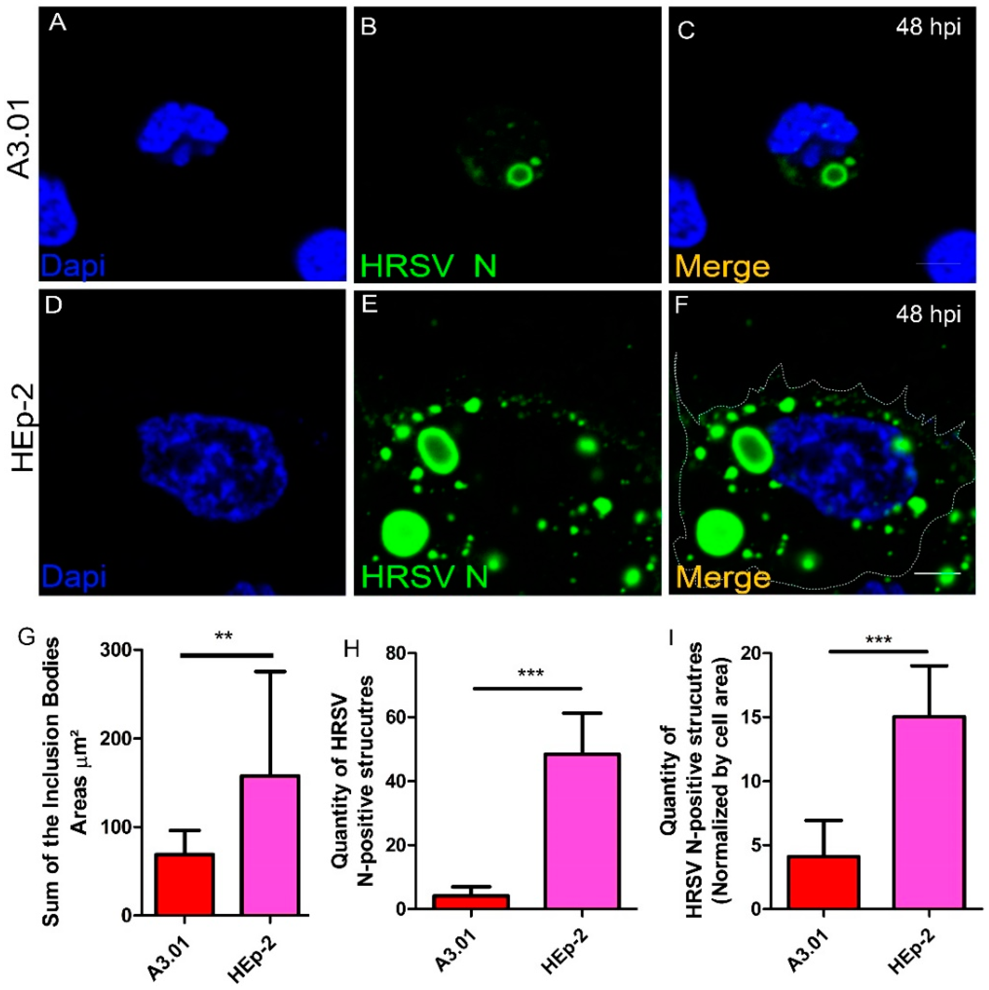 Viruses 13 00231 g005