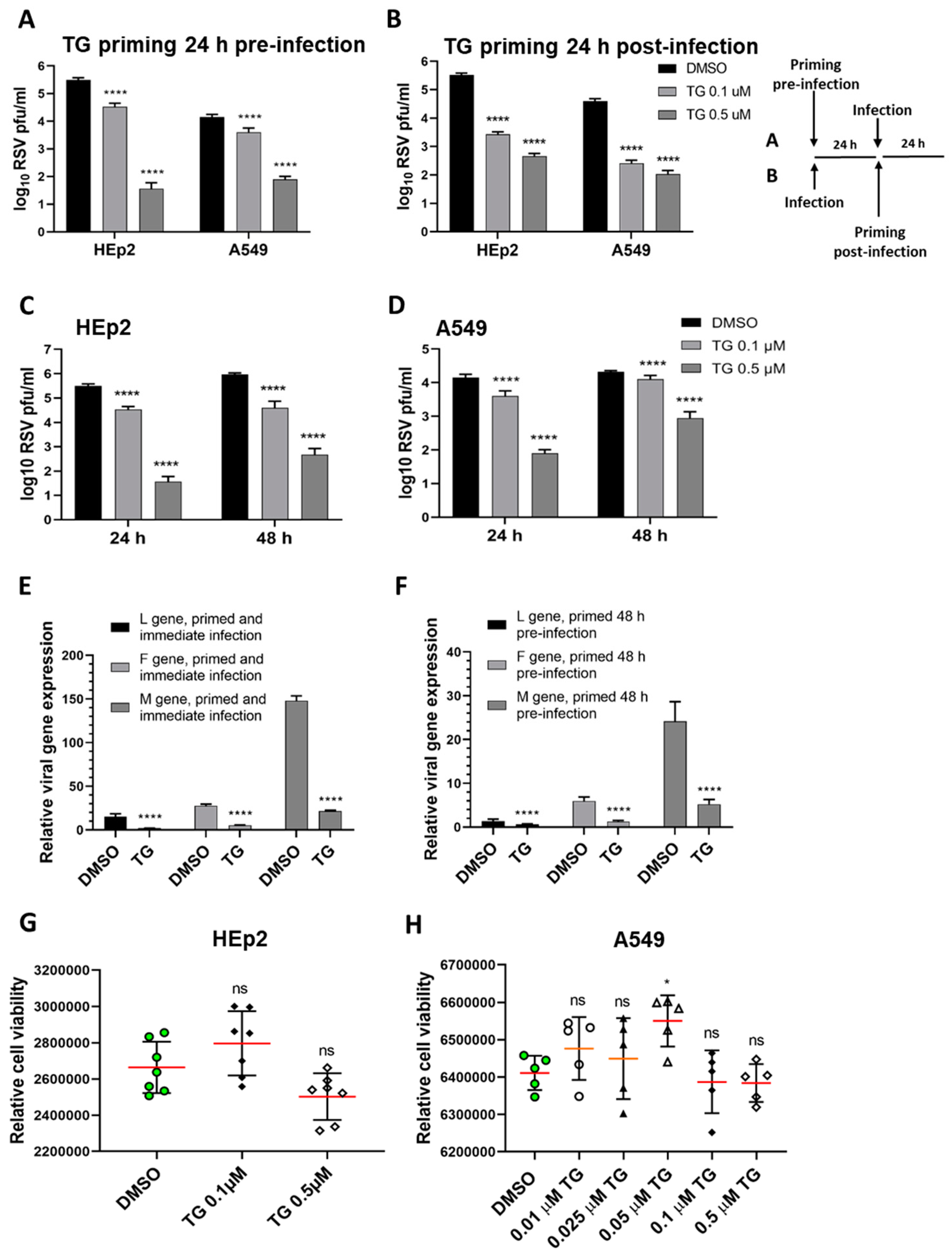 Viruses 13 00234 g001