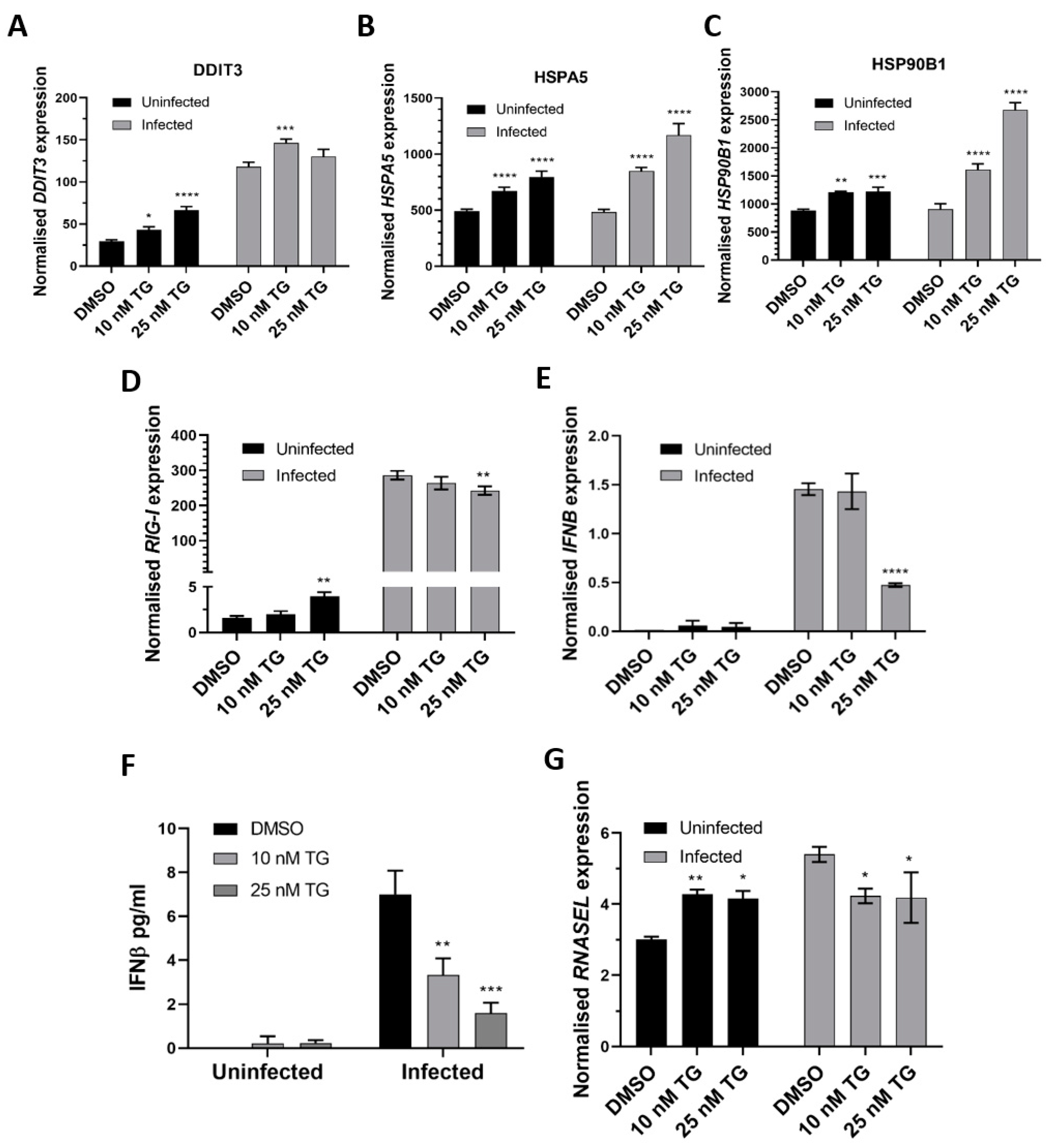 Viruses 13 00234 g003