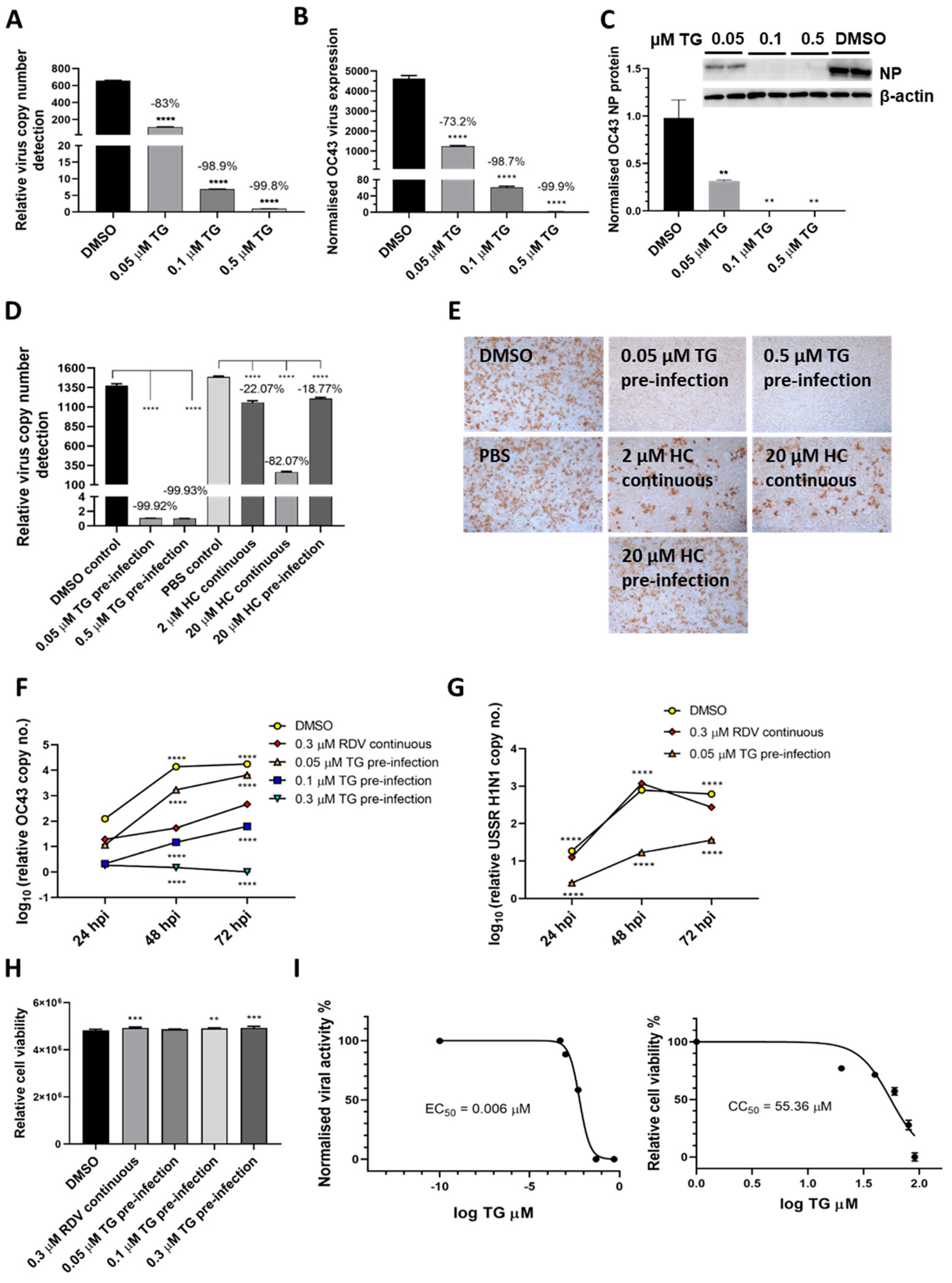 Viruses 13 00234 g004