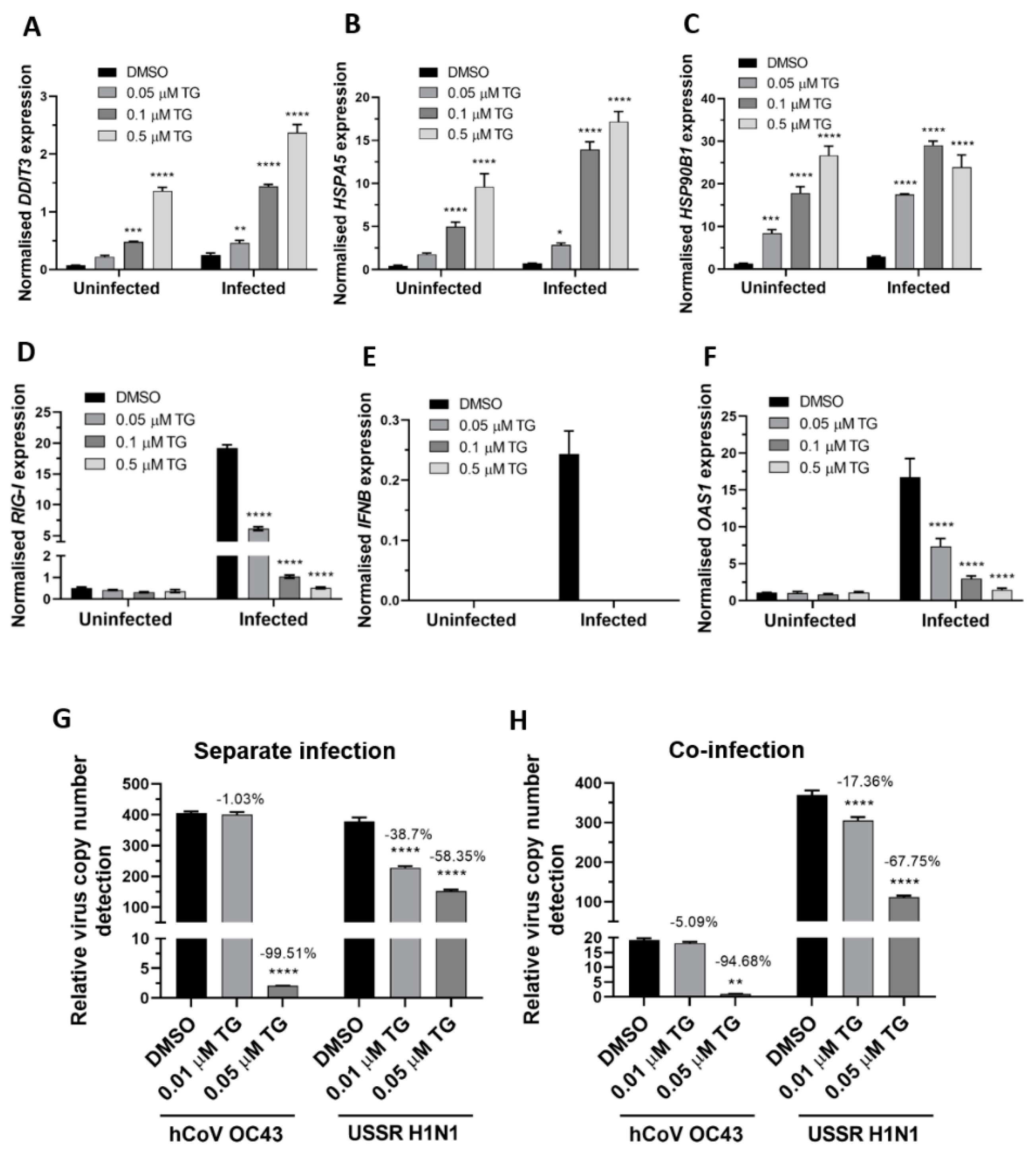 Viruses 13 00234 g005
